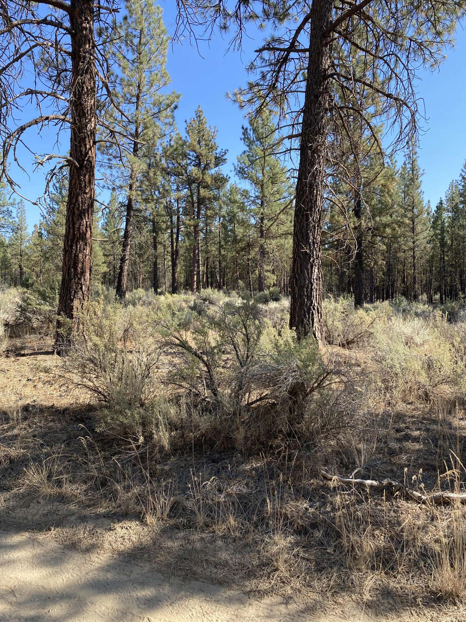 Chiloquin, OR 97639,Lot 33 Tomahawk LN