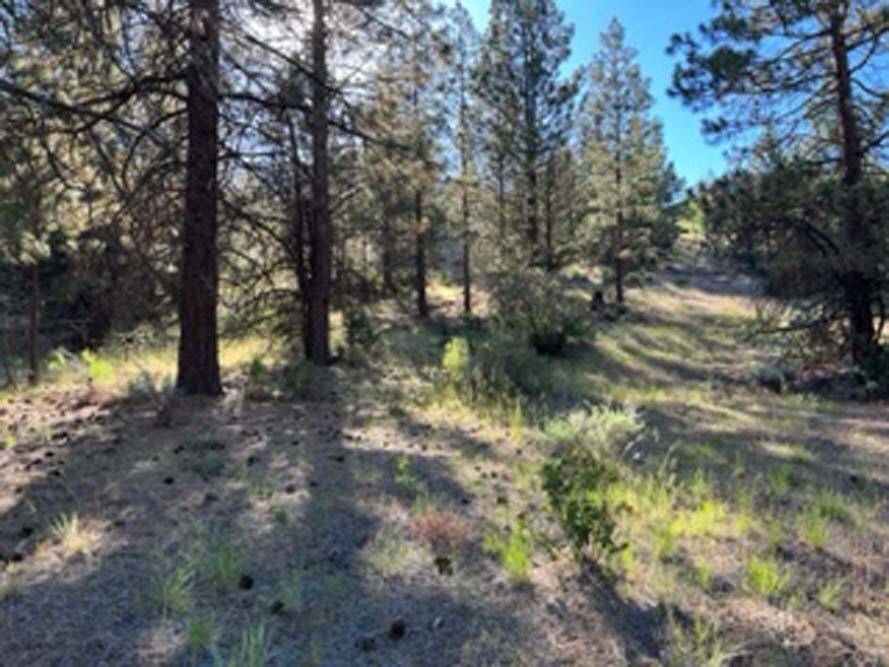 Klamath Falls, OR 97601,Lot 32 Wilderness WAY