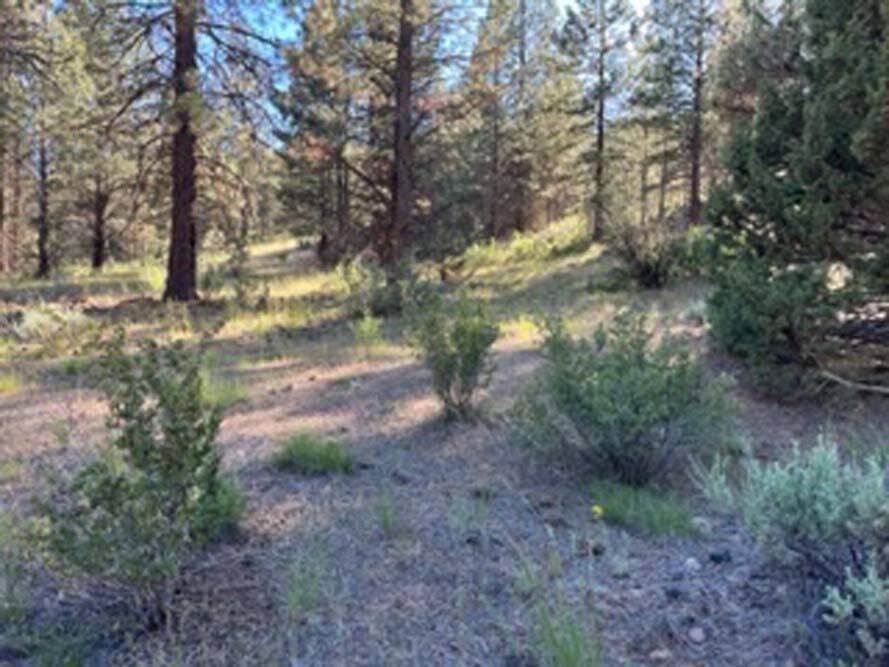 Klamath Falls, OR 97601,Lot 32 Wilderness WAY