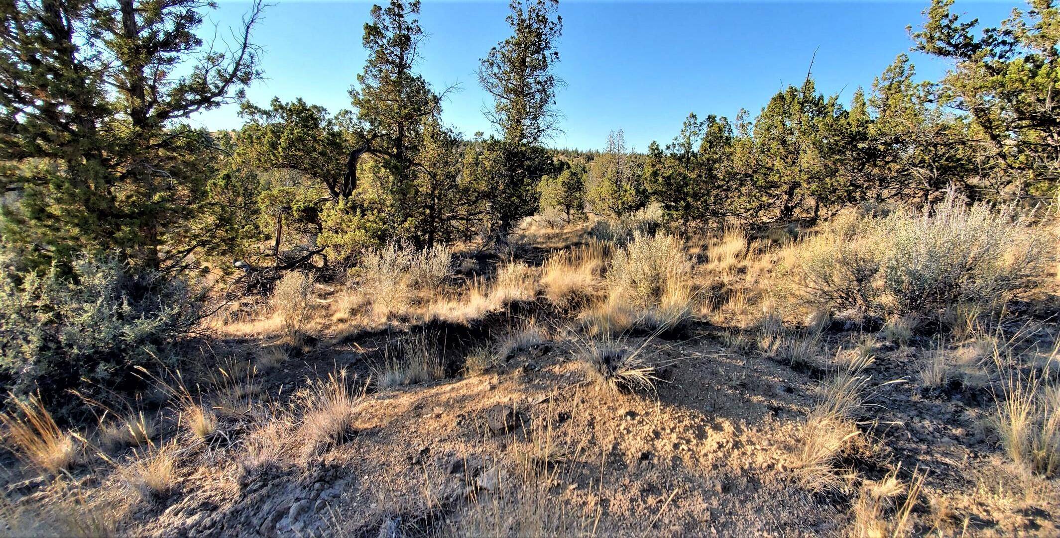 Prineville, OR 97754,2330 Texas CIR