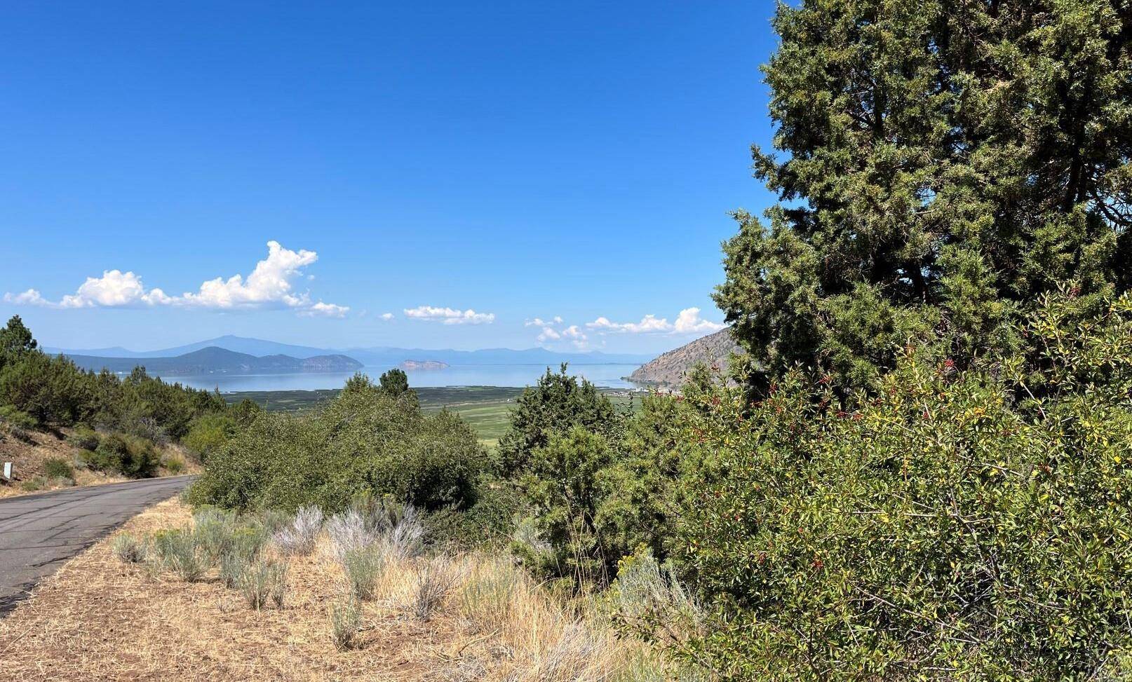 Klamath Falls, OR 97601,Lot 36 Peregrine Heights