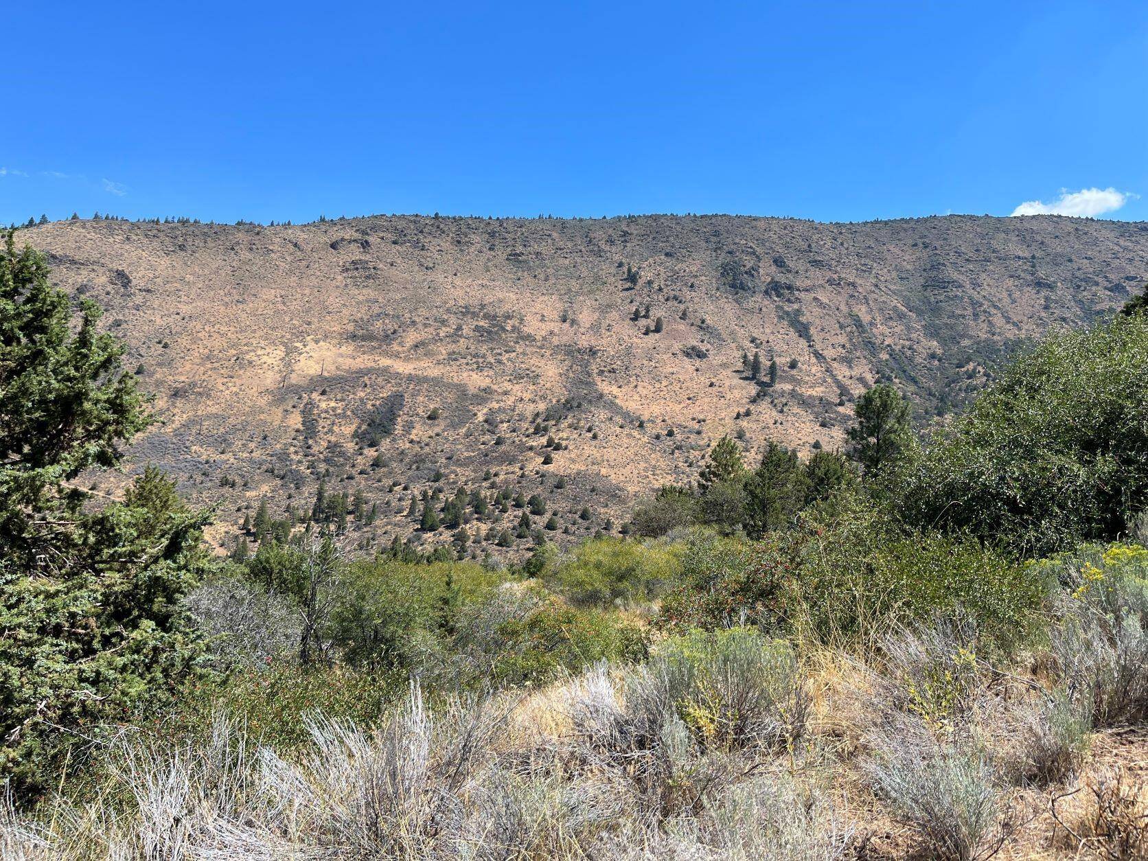 Klamath Falls, OR 97601,Lot 36 Peregrine Heights