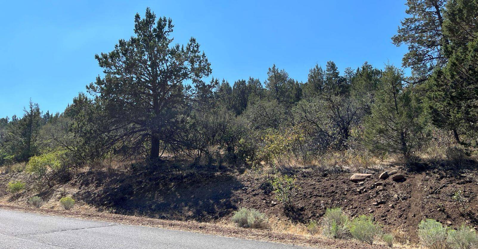 Klamath Falls, OR 97601,Lot 56 Peregrine Heights