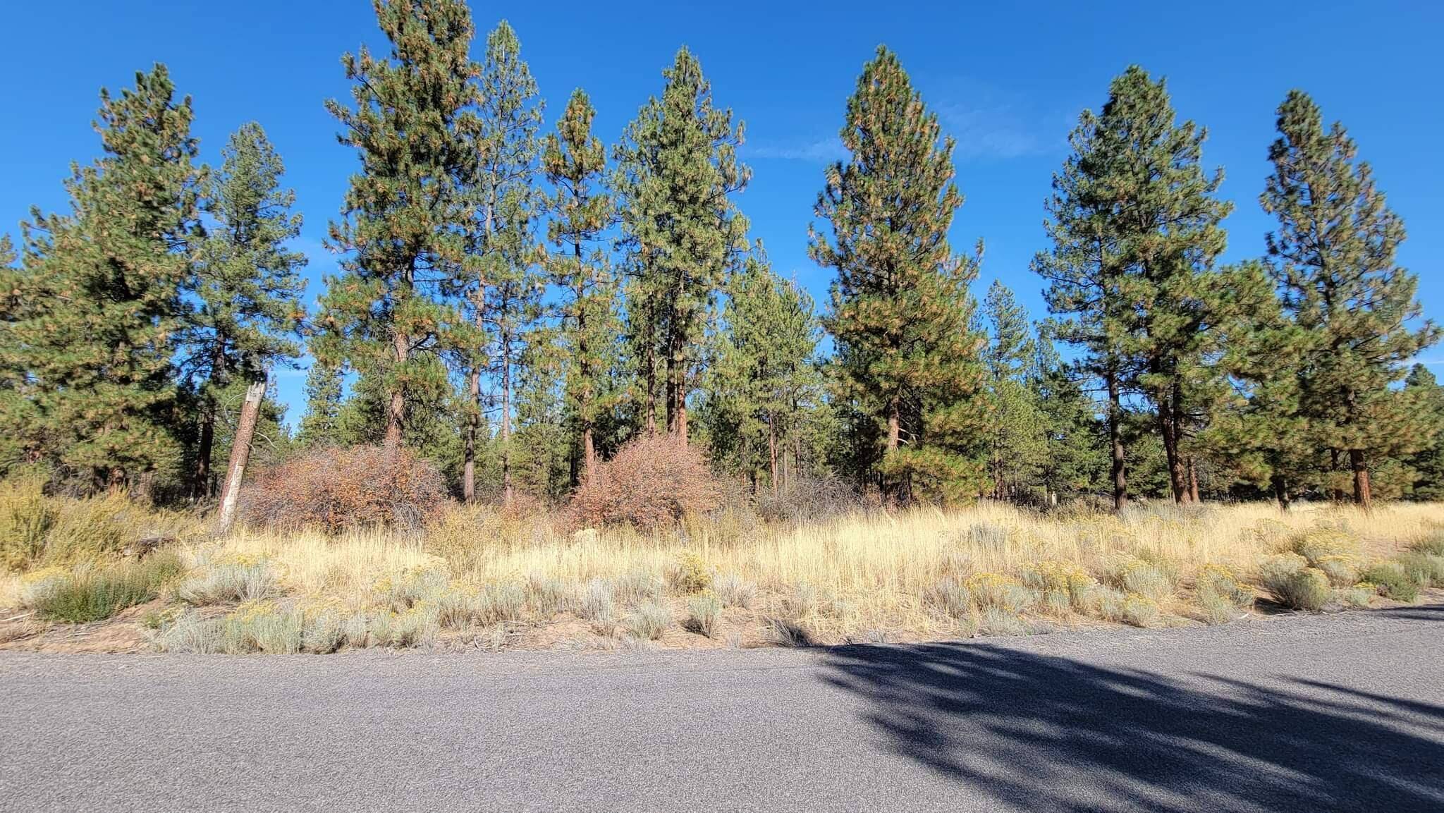 Chiloquin, OR 97624,Lot 25 Brittany WAY