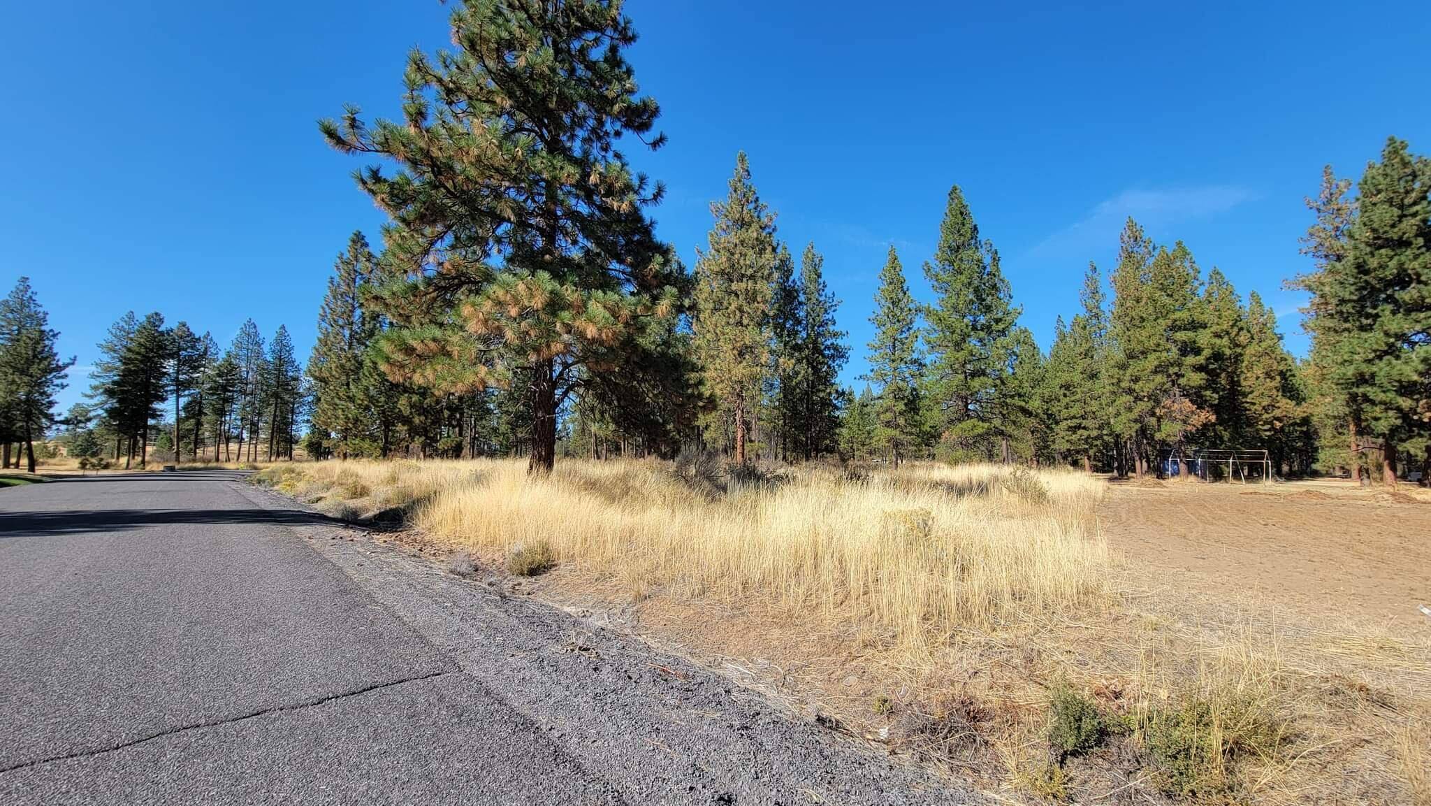 Chiloquin, OR 97624,Lot 25 Brittany WAY