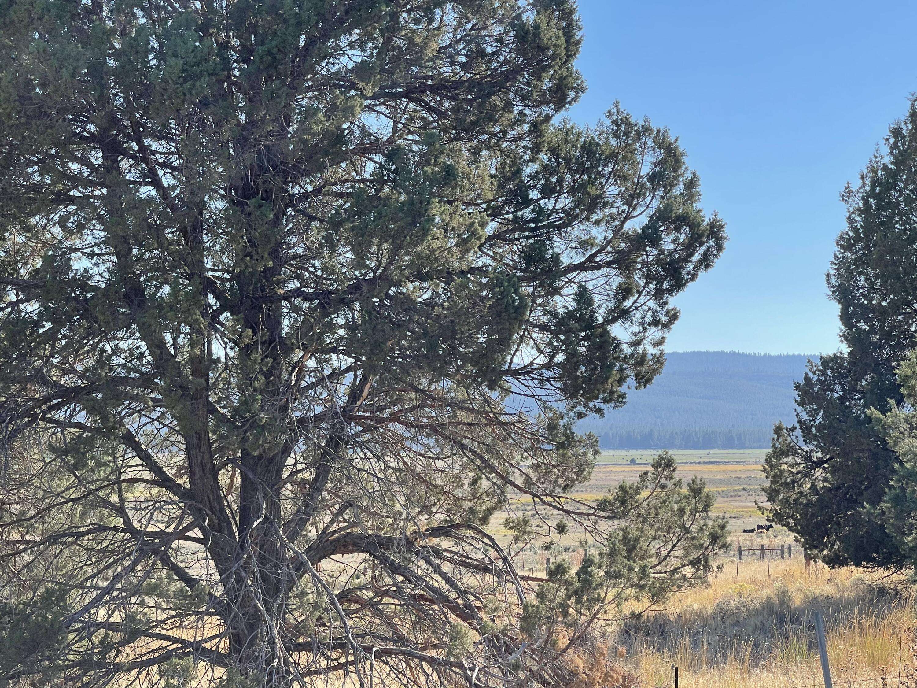 Sprague River, OR 97639,Drews RD #Block 2 Lot 4