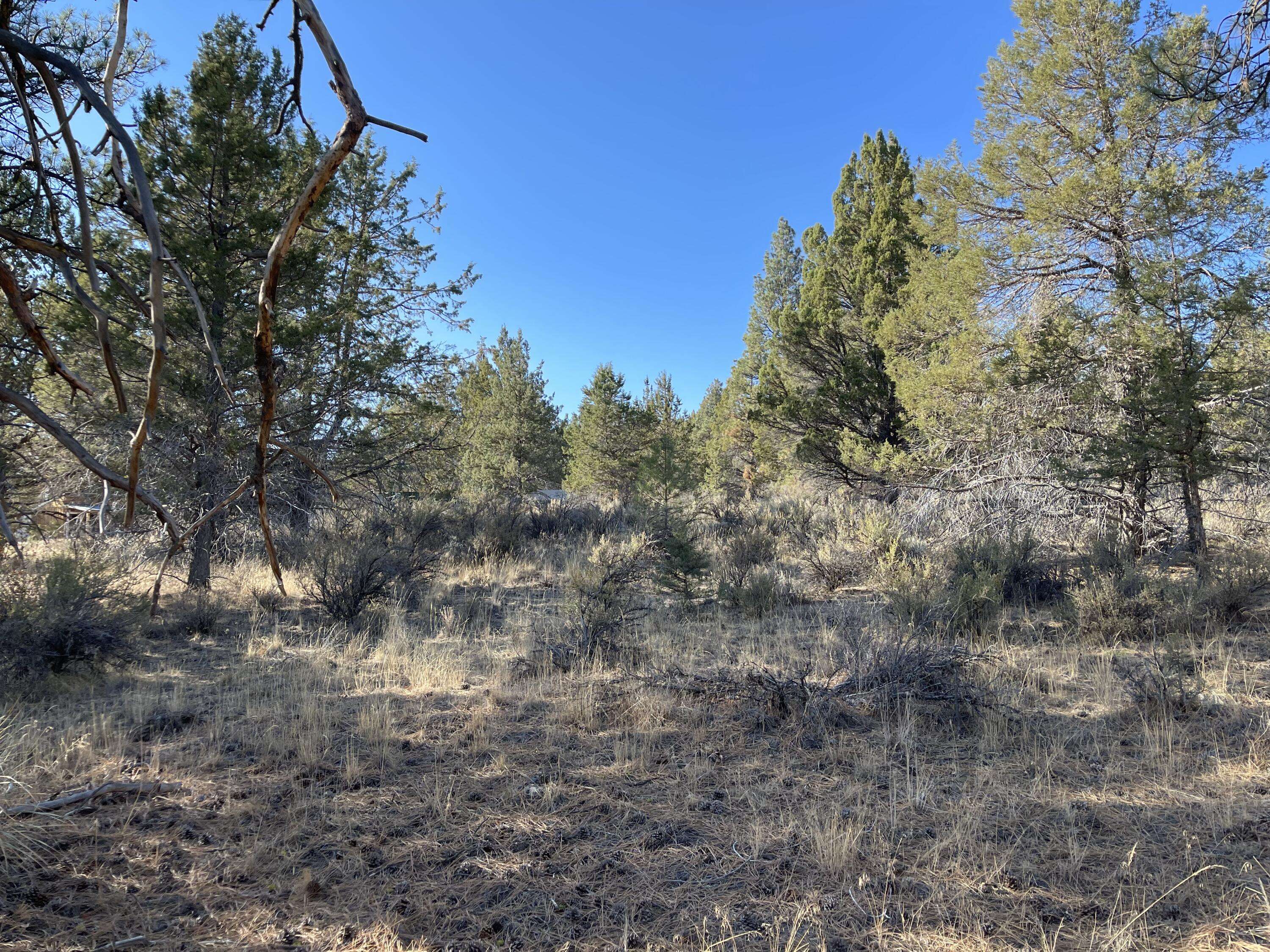 Sprague River, OR 97639,Drews RD #Block 2 Lot 4