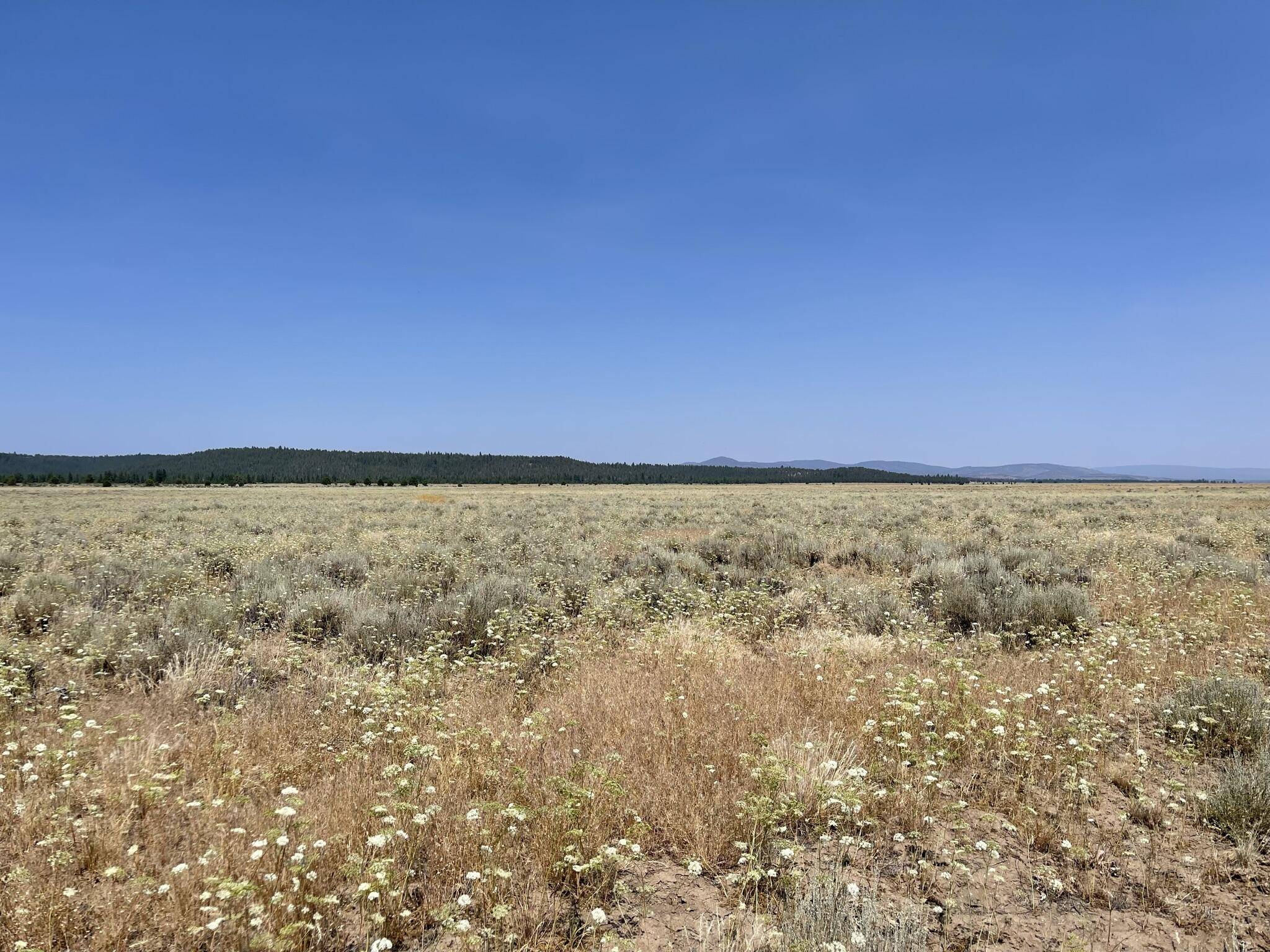 Sprague River, OR 97639,Off Tableland RD #TWN 36 Range 11