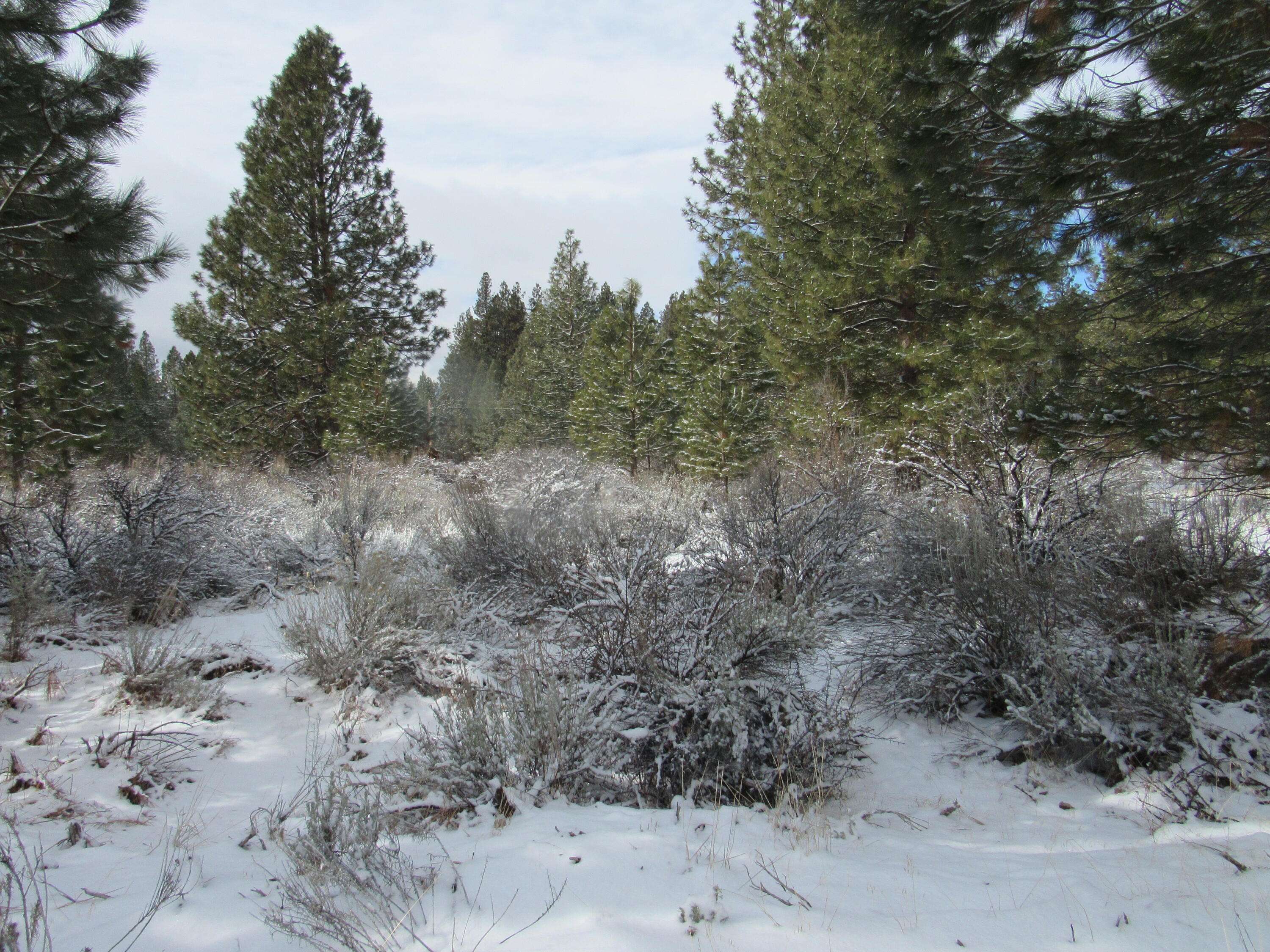 Chiloquin, OR 97624,Palouse LN
