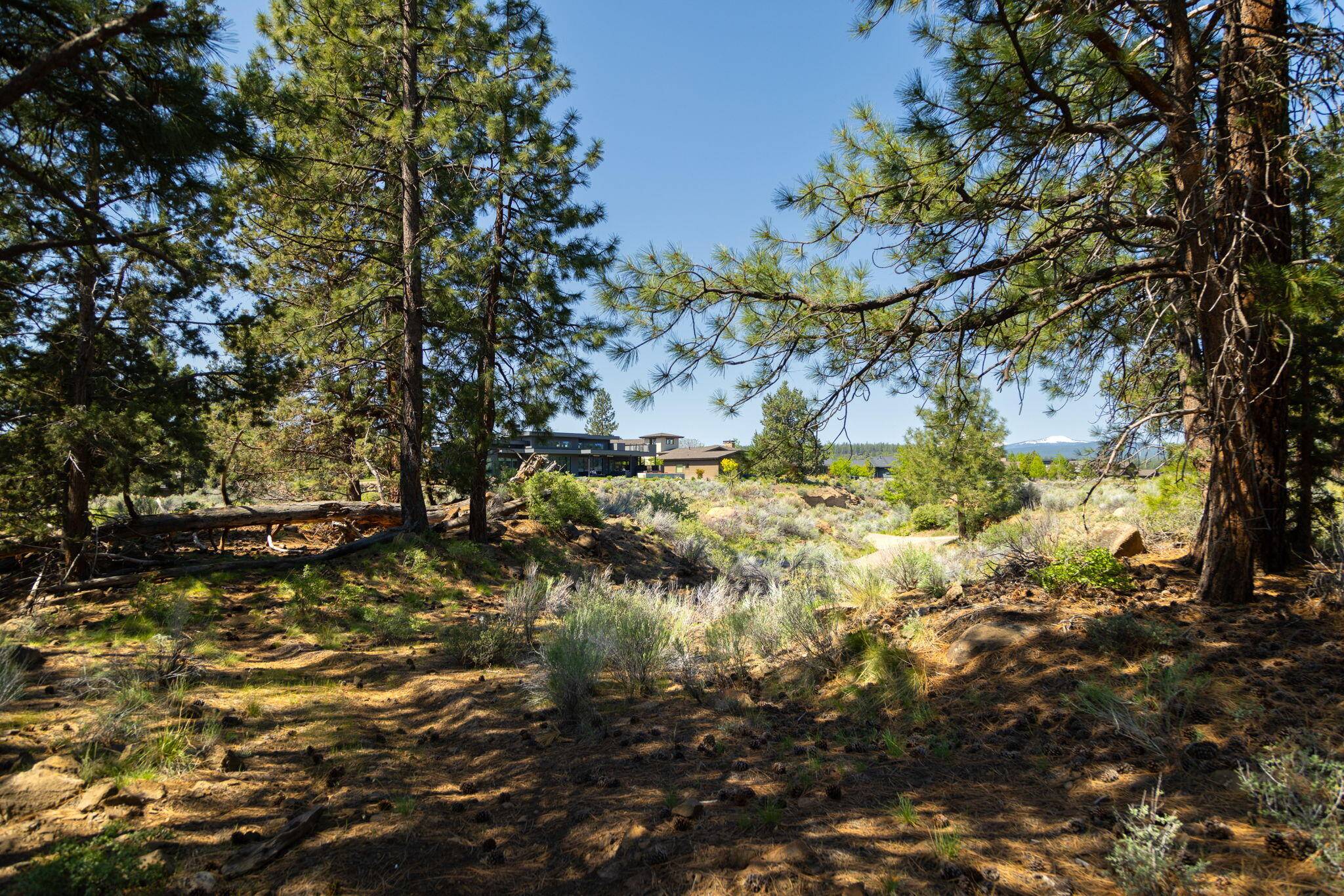 Bend, OR 97702,0 Hosmer Lake DR #Lot 289