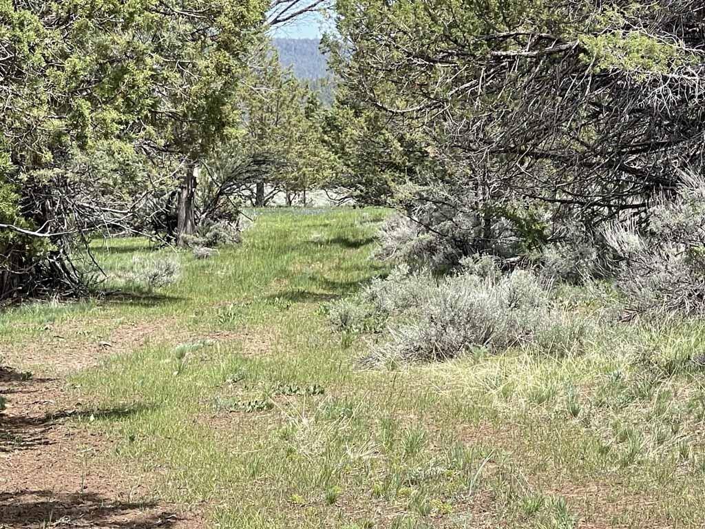 Bly, OR 97622,TL 8500 Fishhole Creek RD
