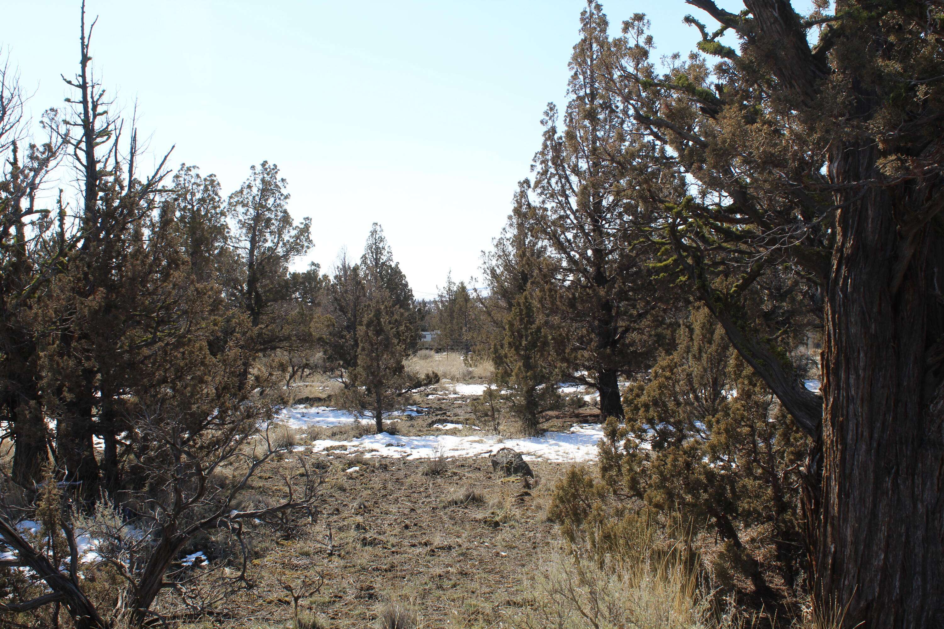 Prineville, OR 97754,TL3100 Umatilla LOOP