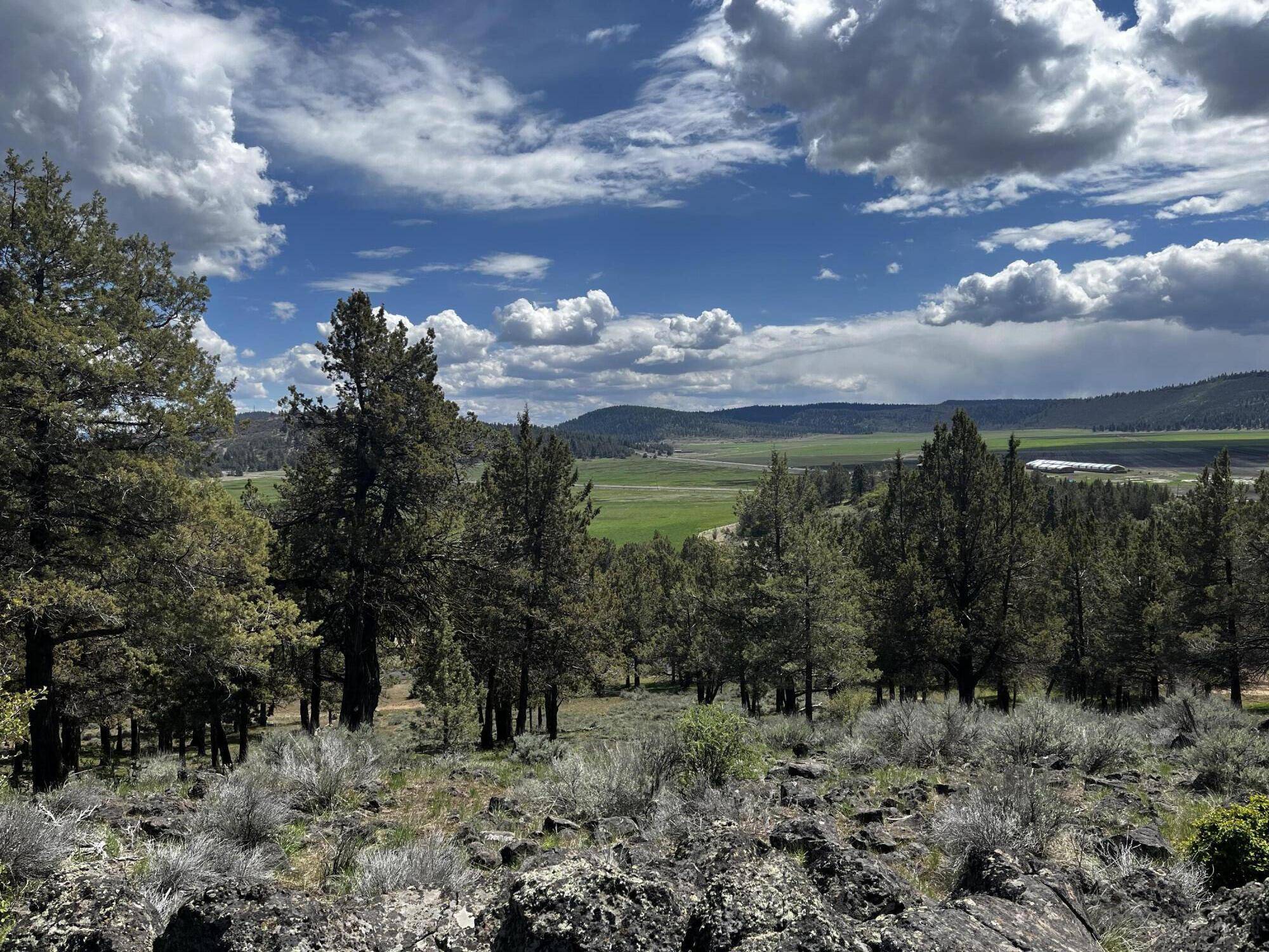 Klamath Falls, OR 97601,Lot 1210 Fox Sparrow DR