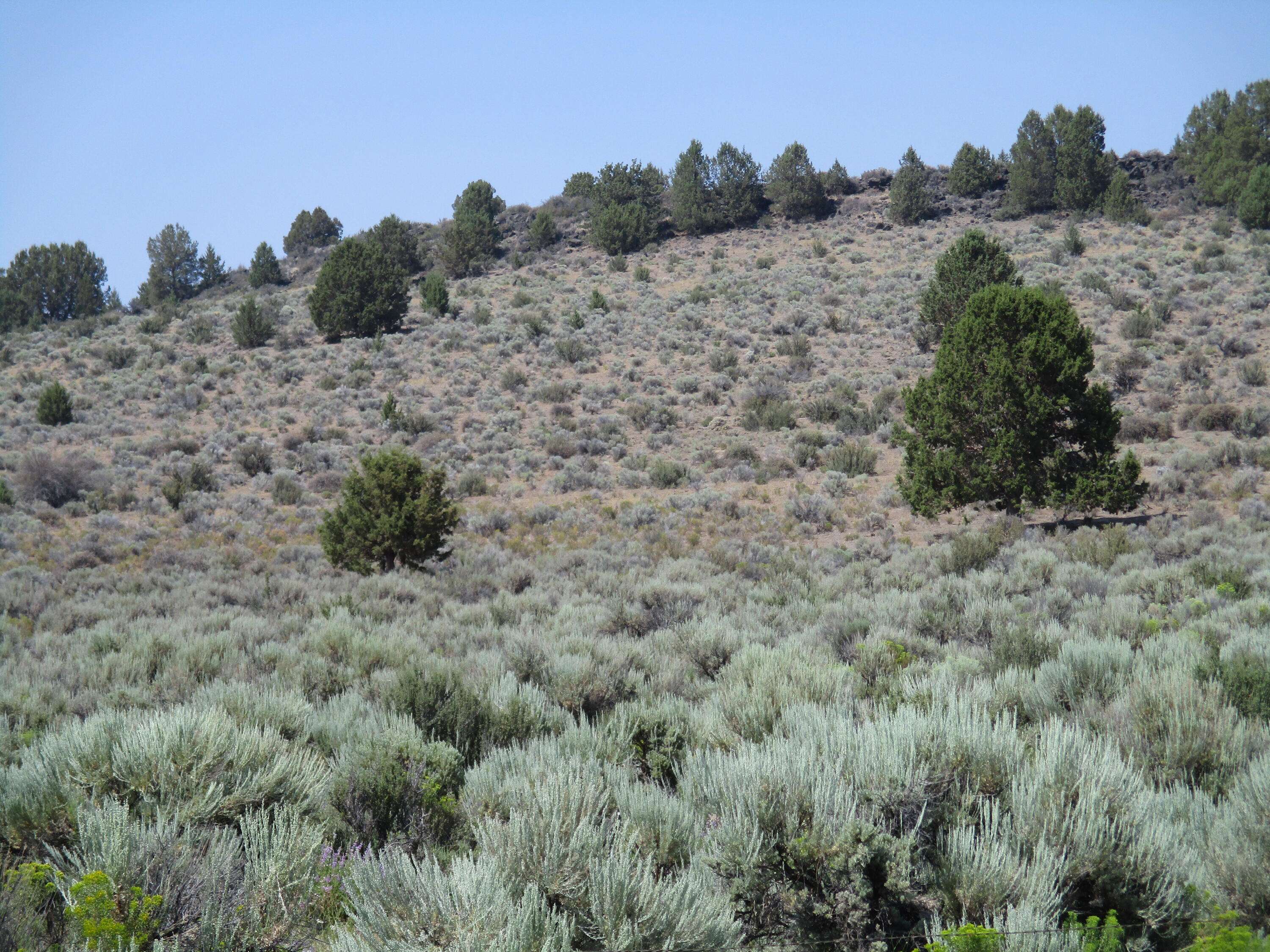 Sprague River, OR 97639,DREWS RD