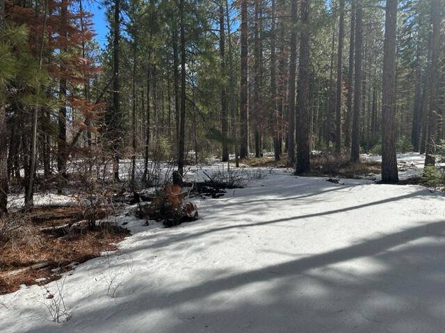 Klamath Falls, OR 97601,Lot 219 Frontier Tracts B & C