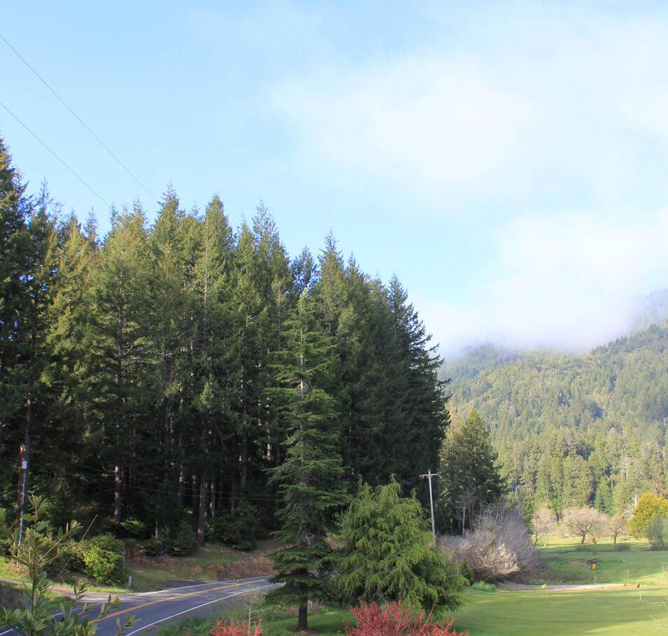 Gold Beach, OR 97444,Cedar Valley RD