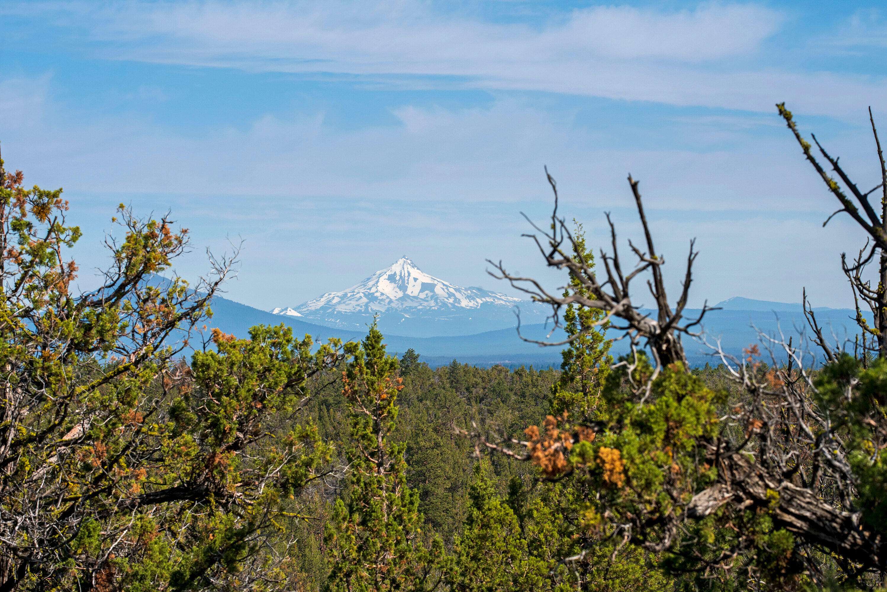 Bend, OR 97703,64837 Collins RD