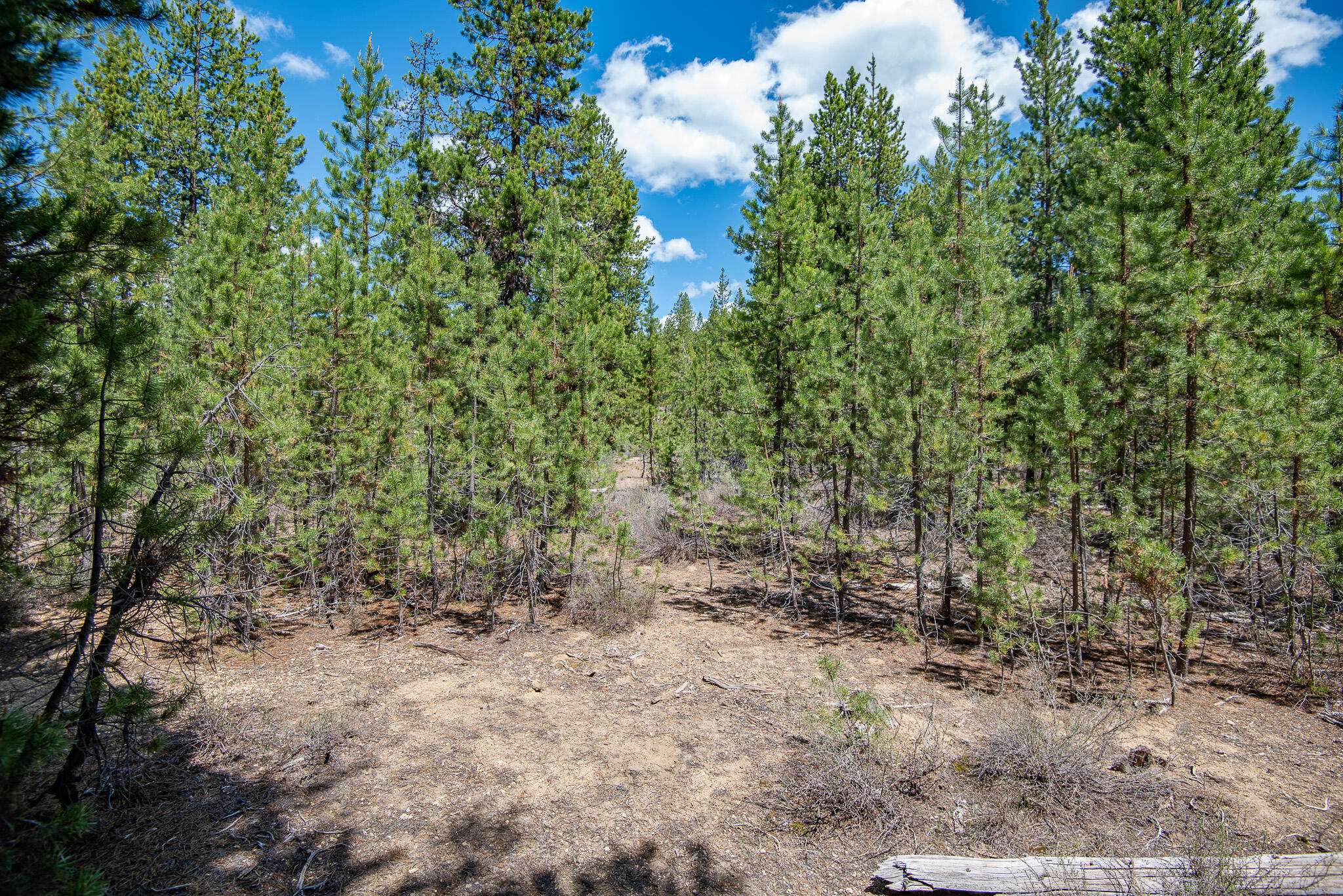 Crescent Lake, OR 97733,Crescent Moon DR #Lot 20