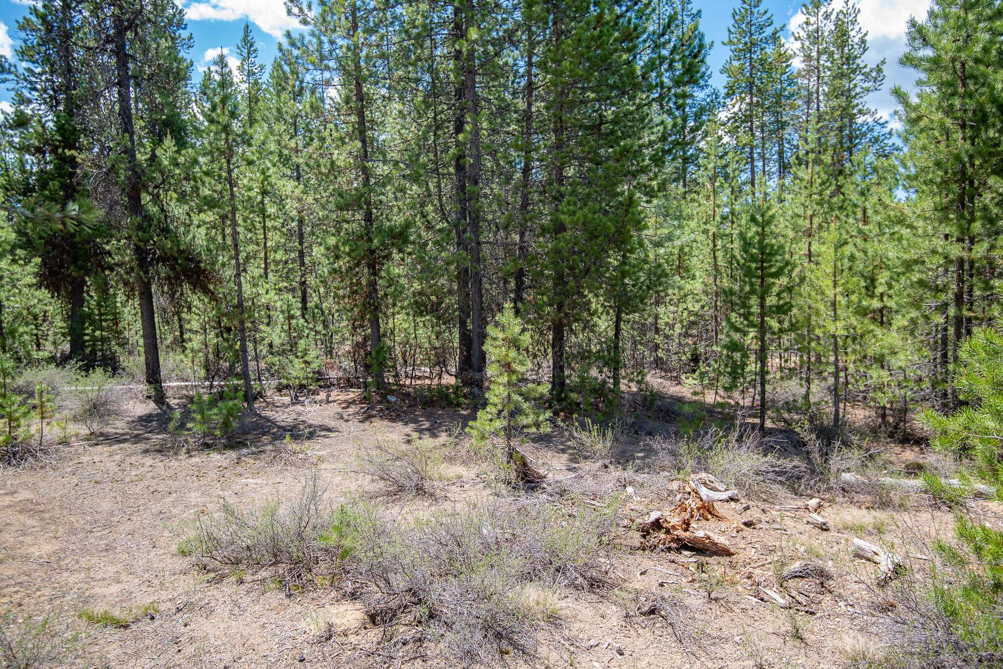 Crescent Lake, OR 97733,Crescent Moon DR #Lot 21