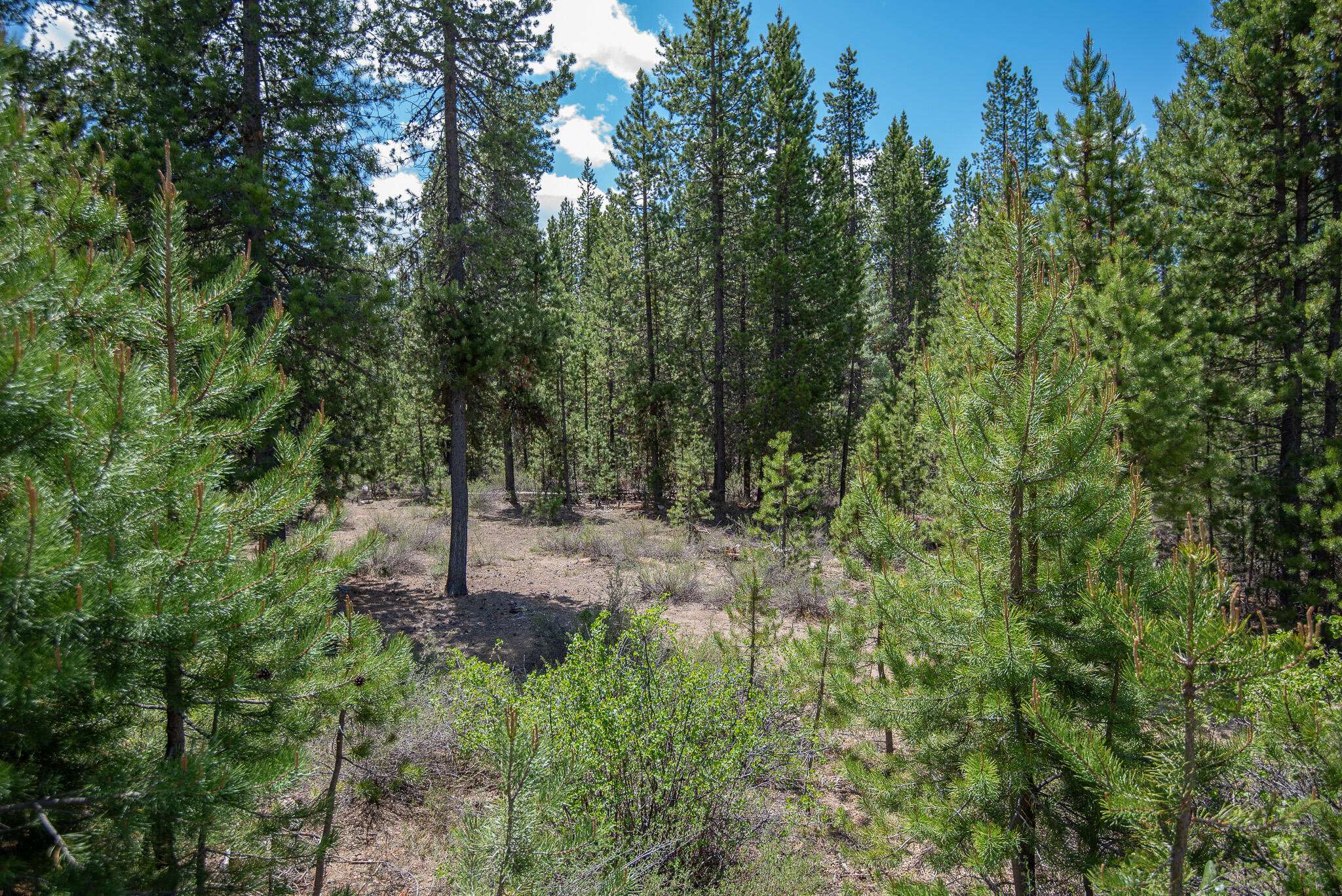 Crescent Lake, OR 97733,Crescent Moon DR #Lot 21