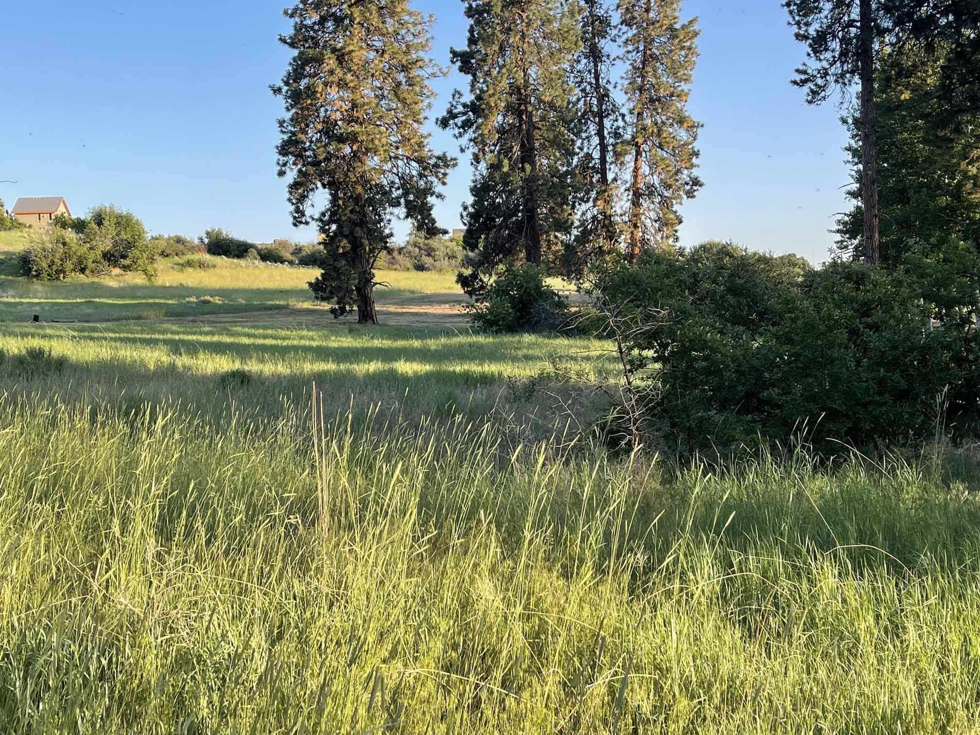 Chiloquin, OR 97624,Twin Lakes RD #Lot 3