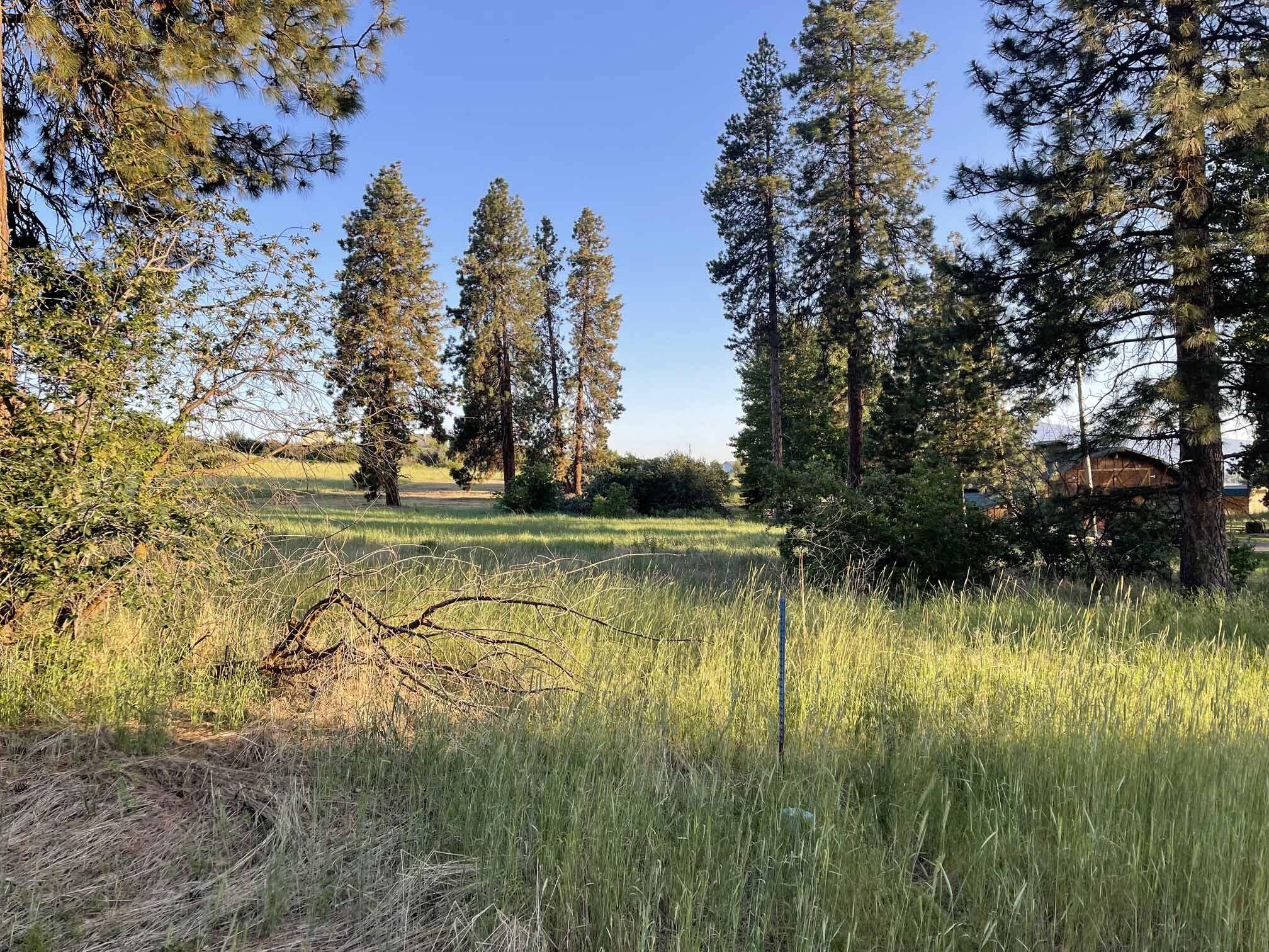 Chiloquin, OR 97624,Twin Lakes RD #Lot 3