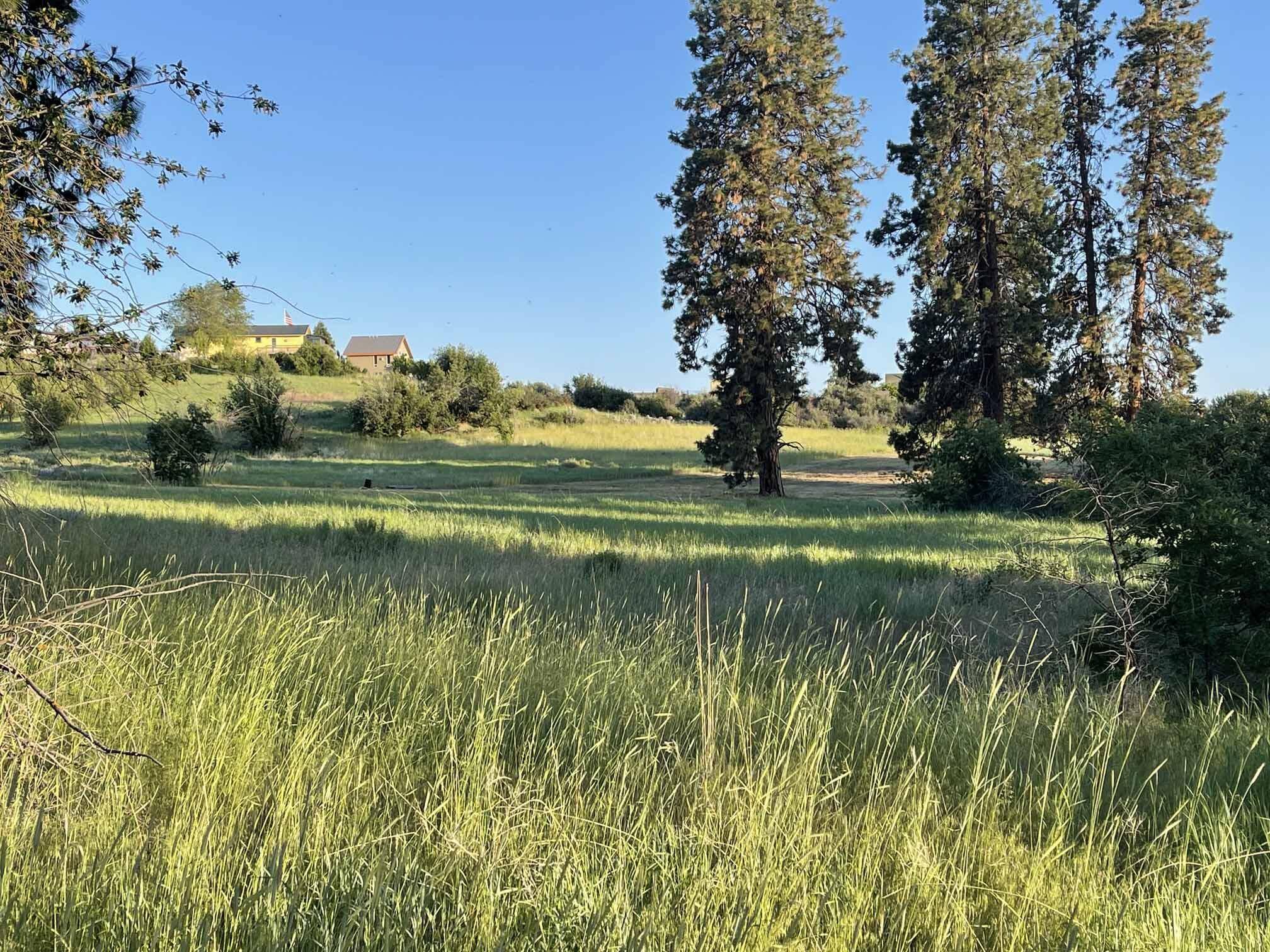 Chiloquin, OR 97624,Twin Lakes RD #Lot 3