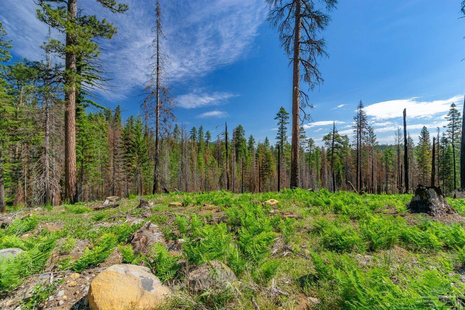 Sisters, OR 97759,Lot-500 Forest Service RD #1030 Rd