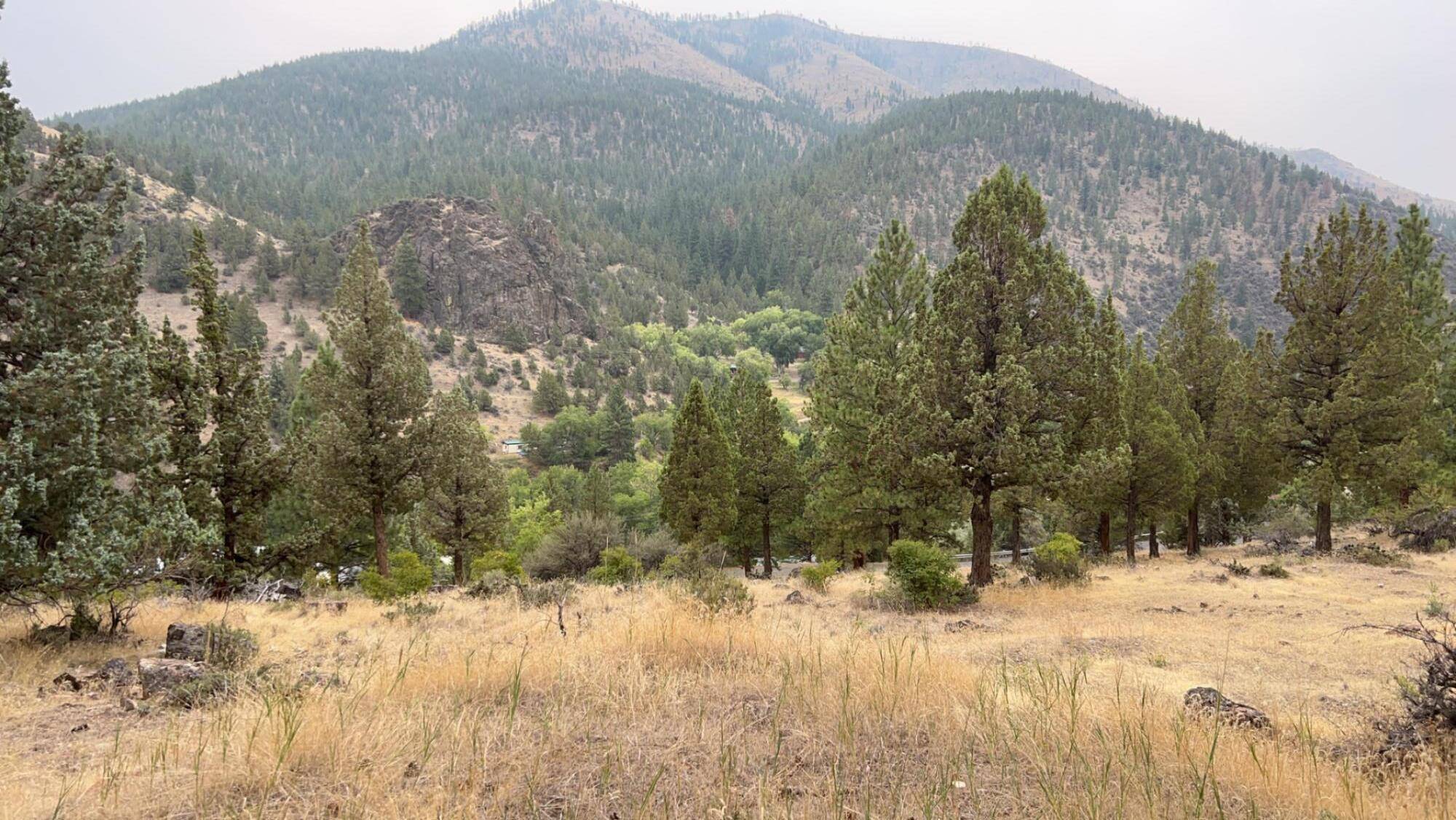 Canyon City, OR 97820,0 Adams DR