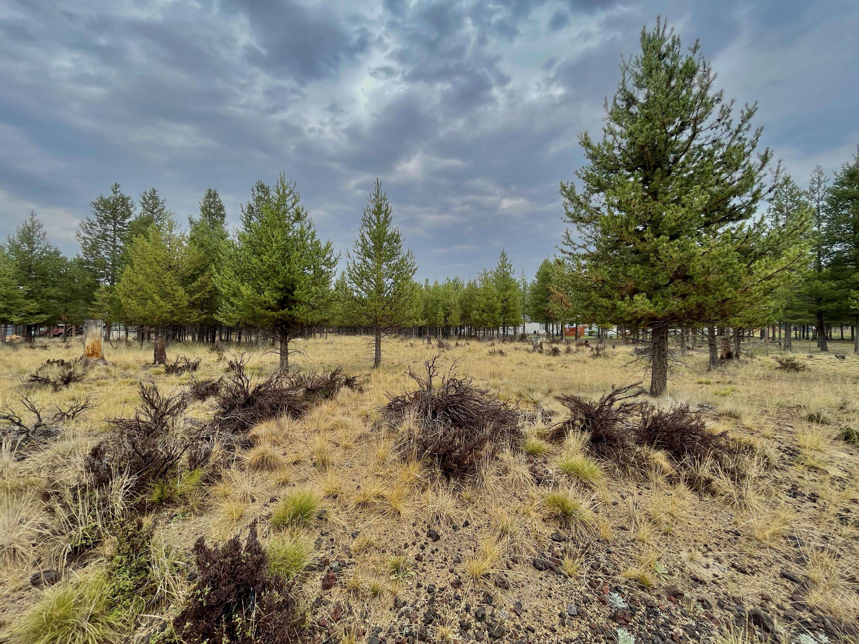 La Pine, OR 97739,TL 4900 Larchwood DR