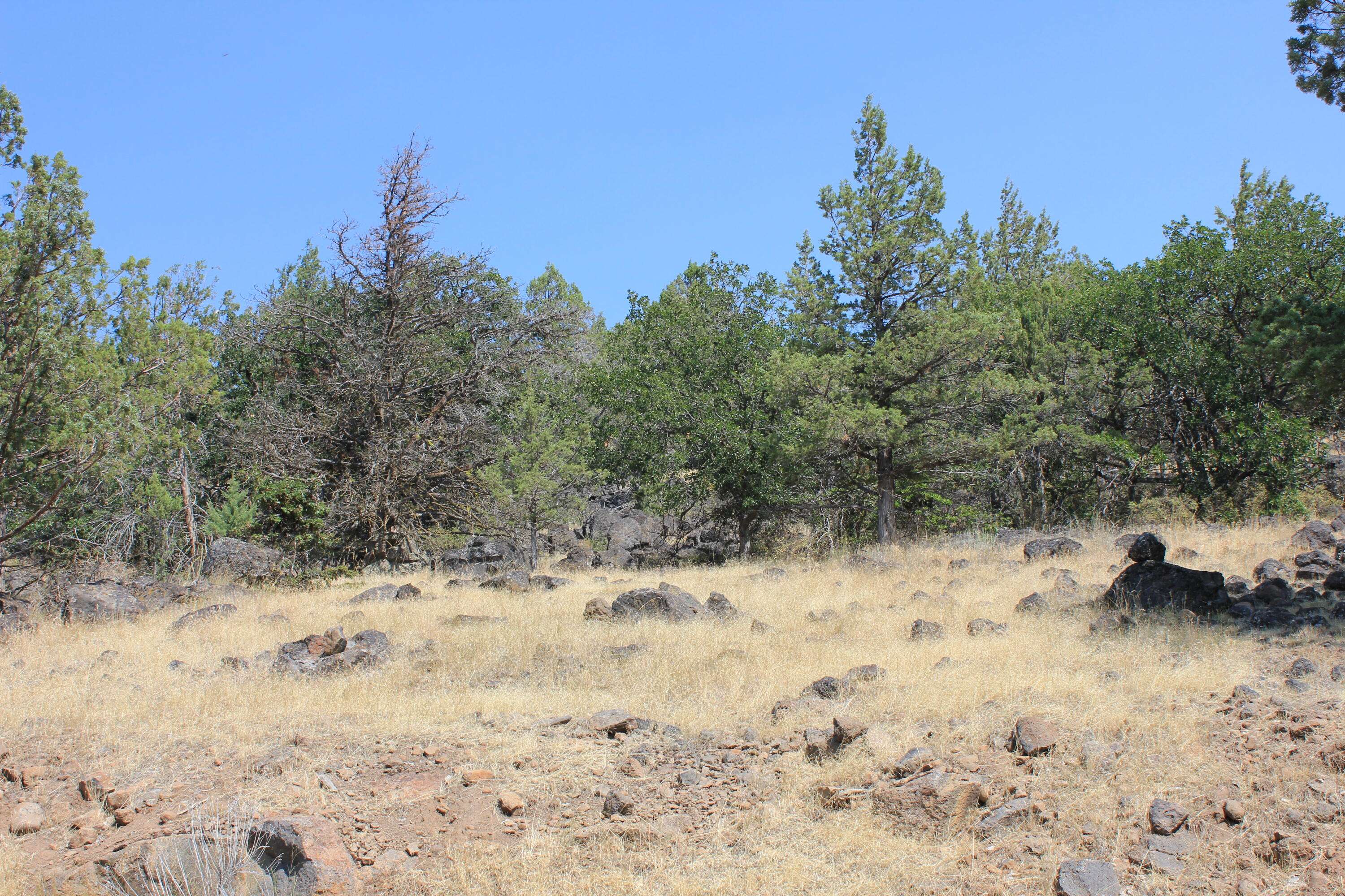 Klamath Falls, OR 97601,Lot 721 Kestrel RD