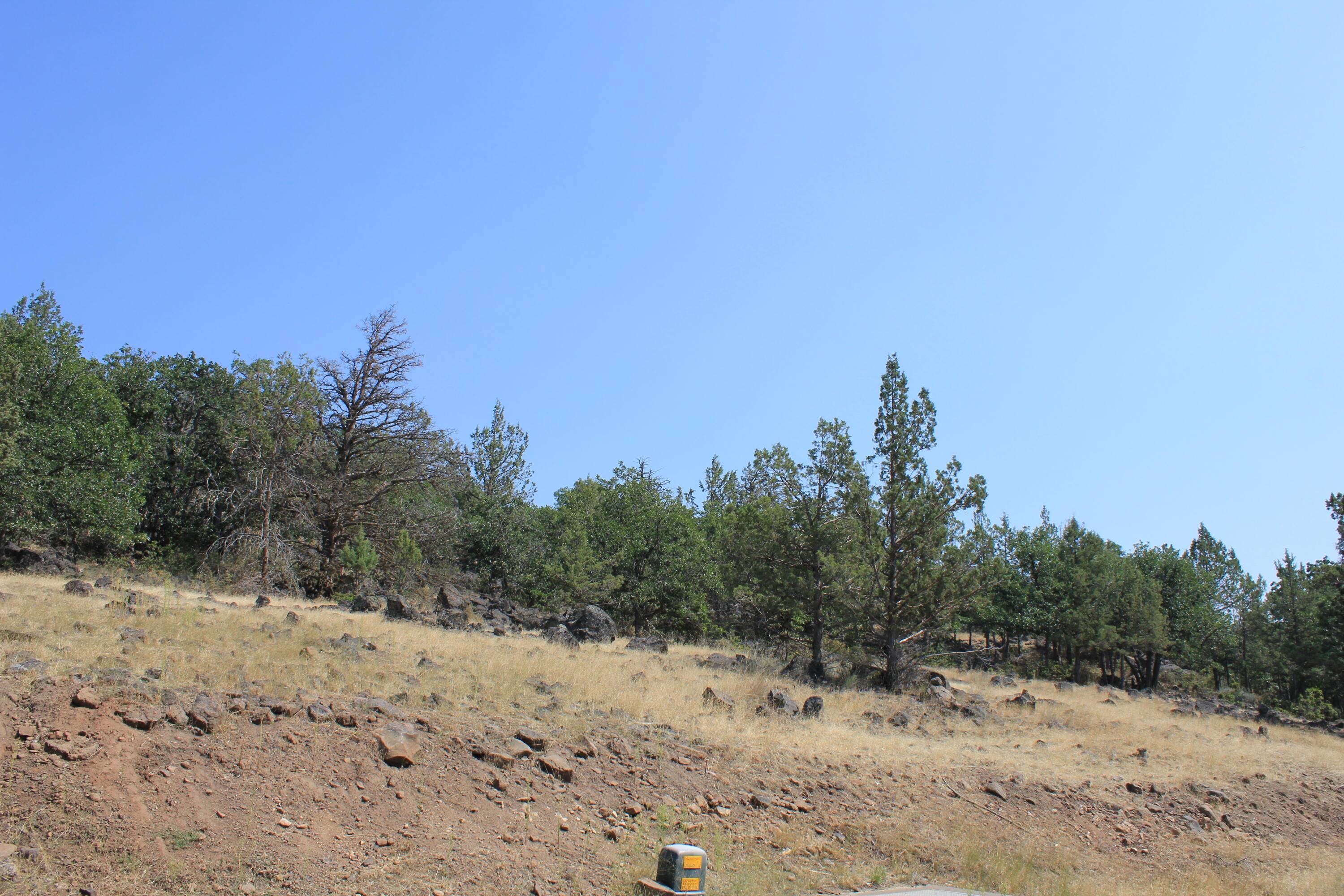 Klamath Falls, OR 97601,Lot 721 Kestrel RD