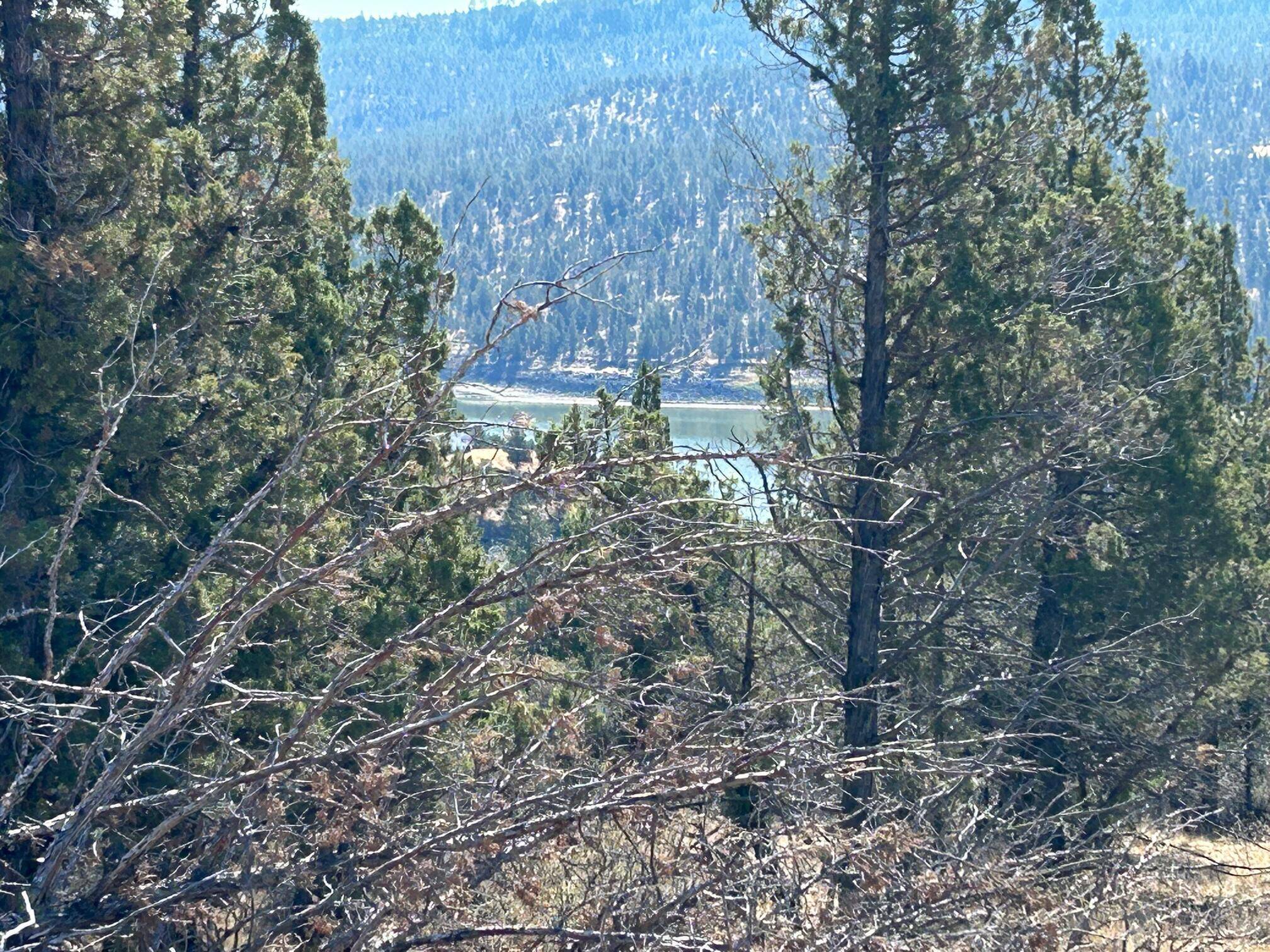 Prineville, OR 97754,12109 Kelly WAY