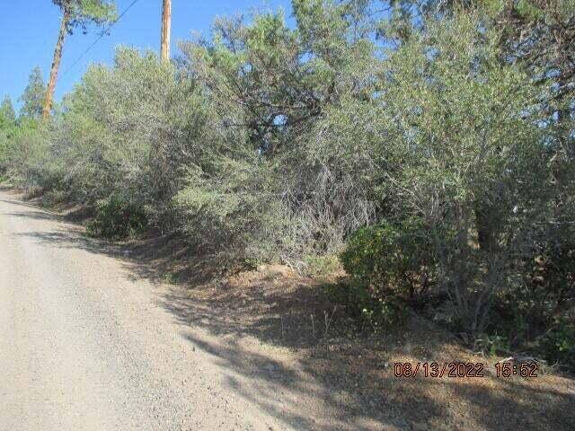 Bonanza, OR 97623,Lot 26 Porpoise LN