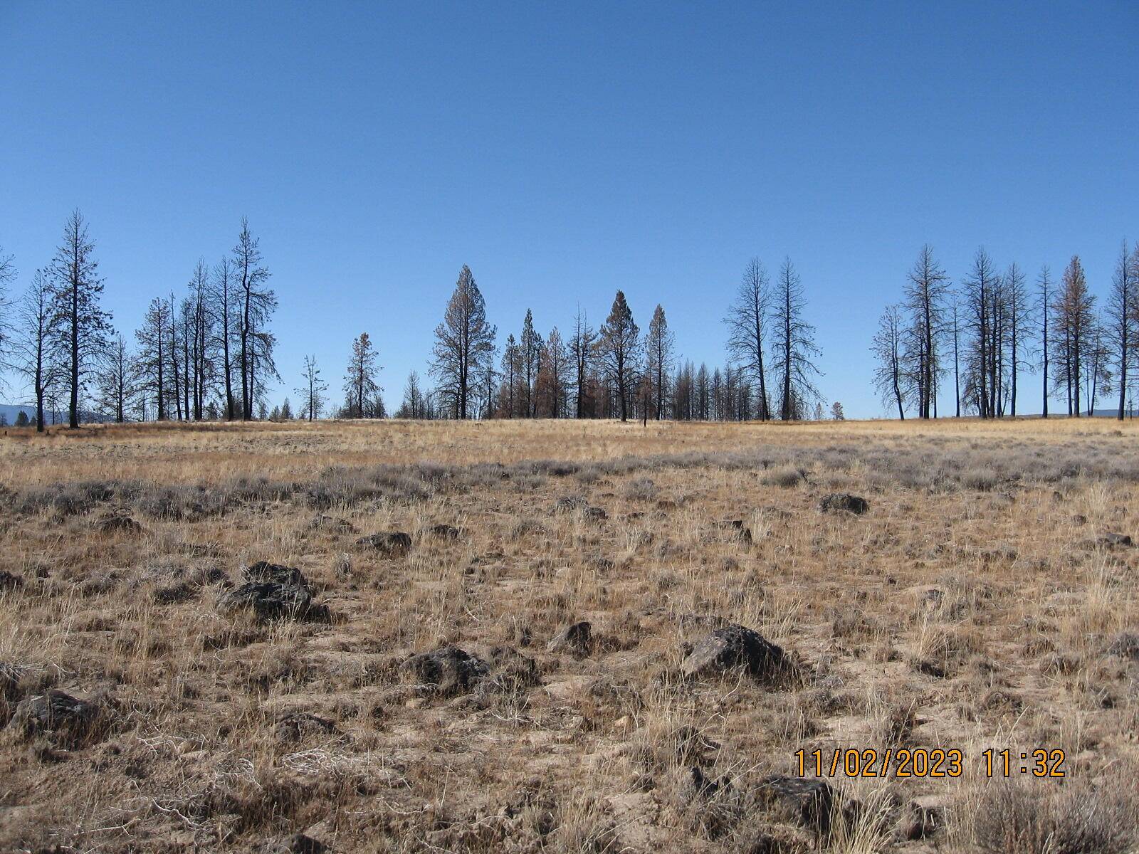 Bly, OR 97622,Lot 14N White Oak LN
