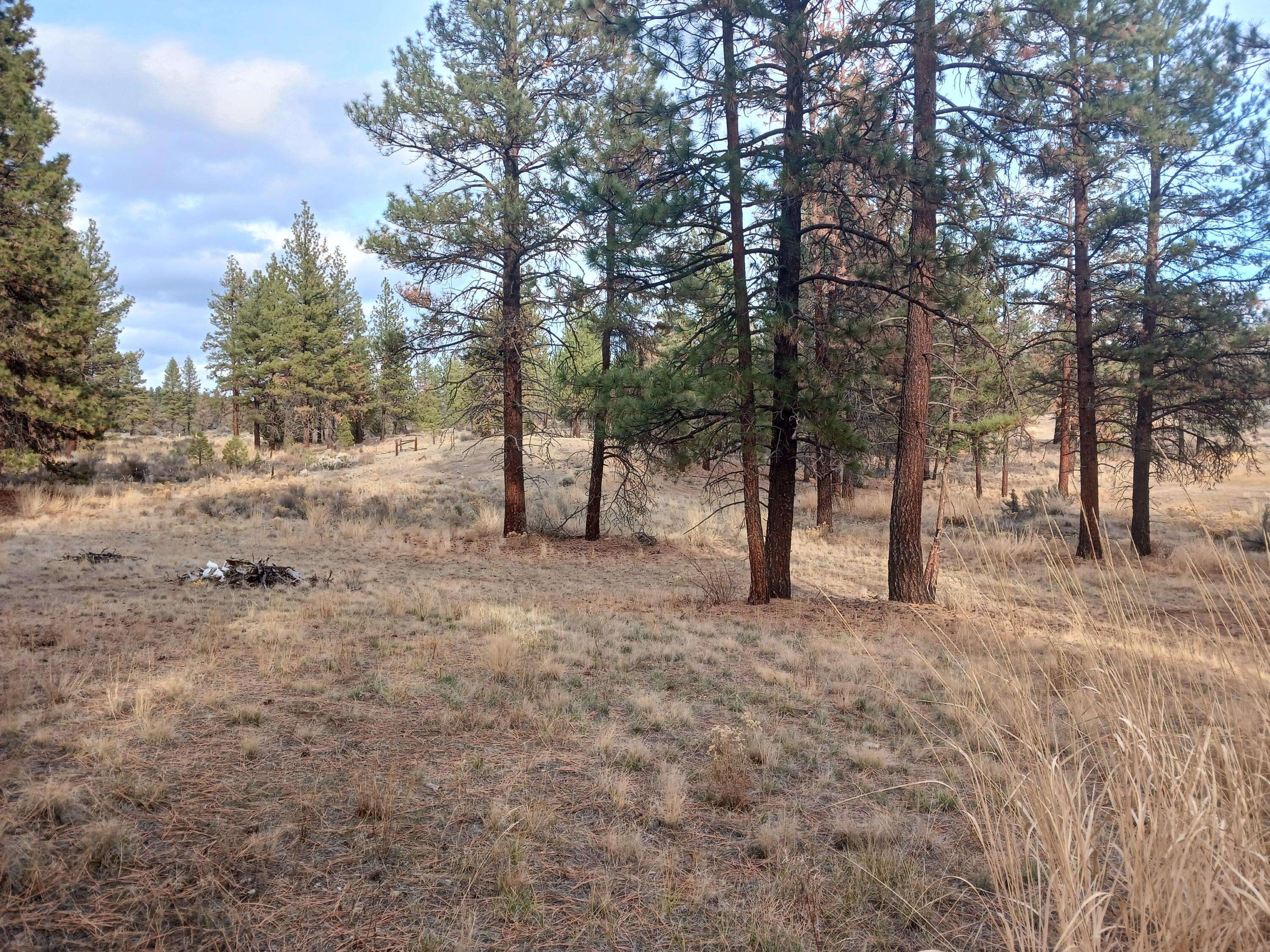 Chiloquin, OR 97624,Arrowhead LN #Lot 20 Block 50