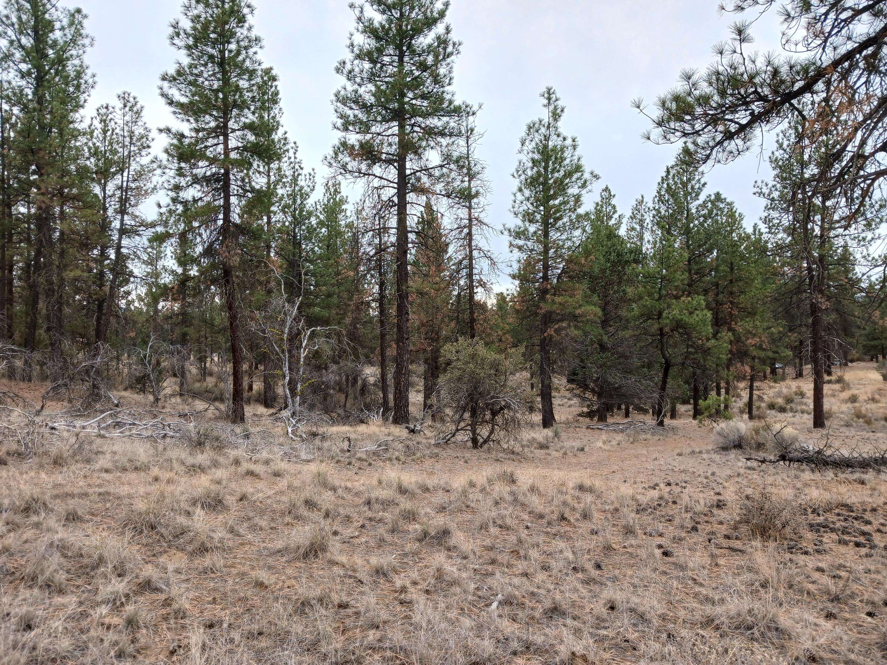 Chiloquin, OR 97624,Arrowhead LN #Lot 20