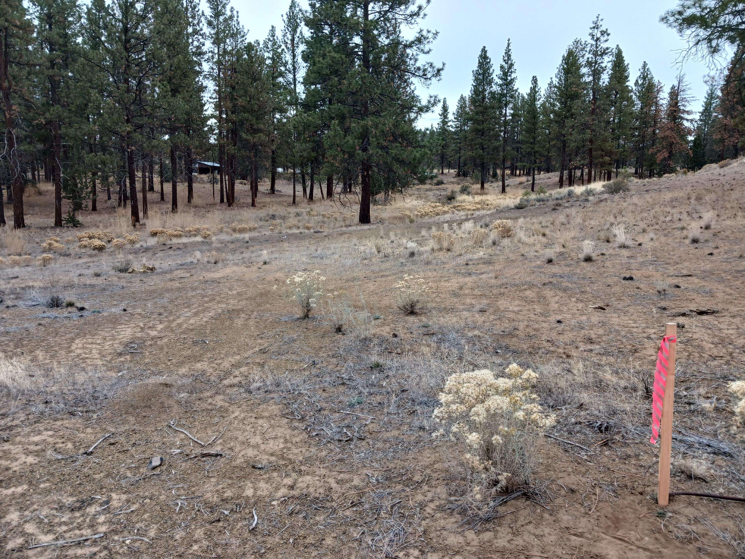 Chiloquin, OR 97624,Arrowhead LN #Lot 20