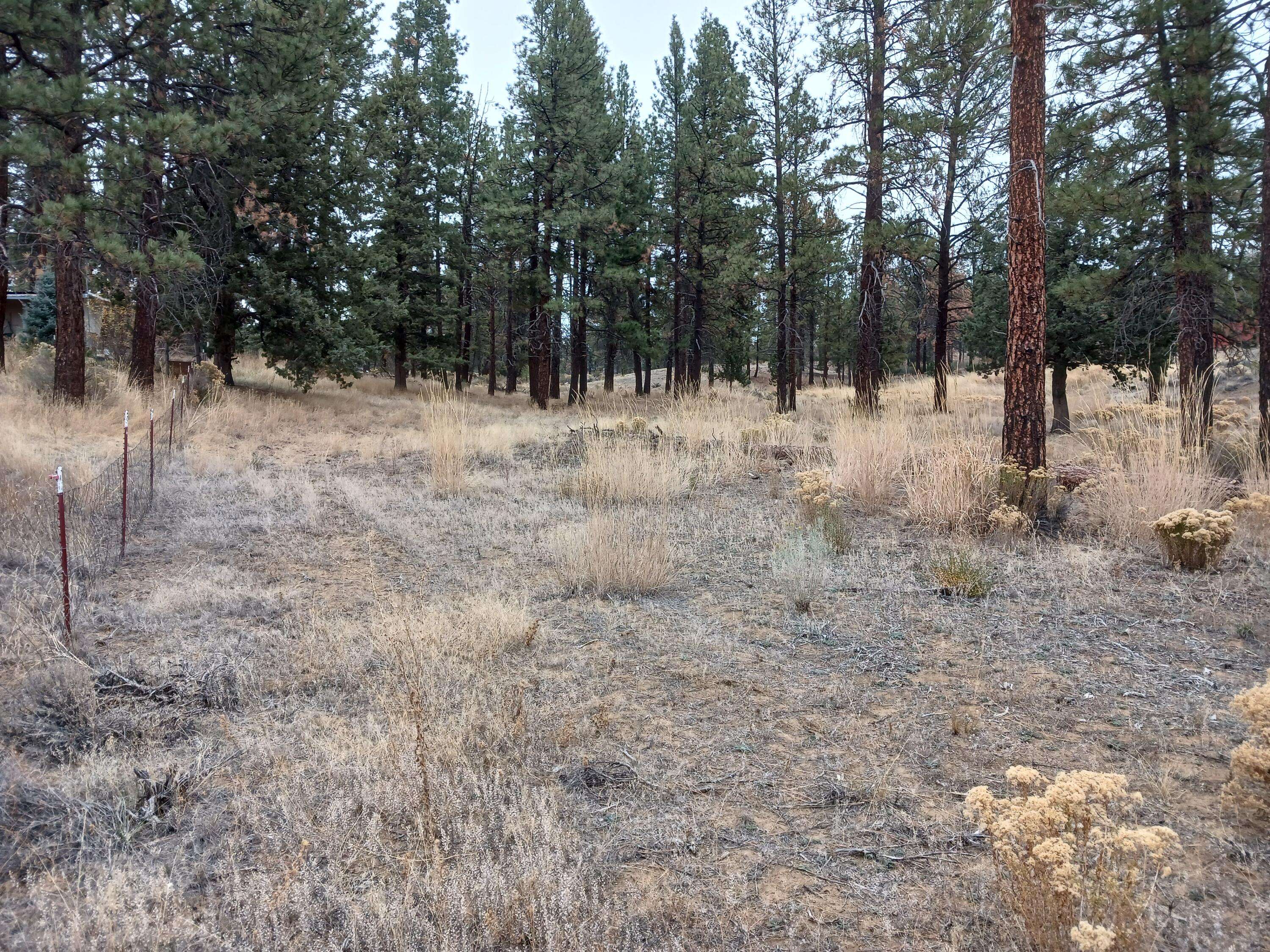 Chiloquin, OR 97624,Arrowhead LN #Lot 20