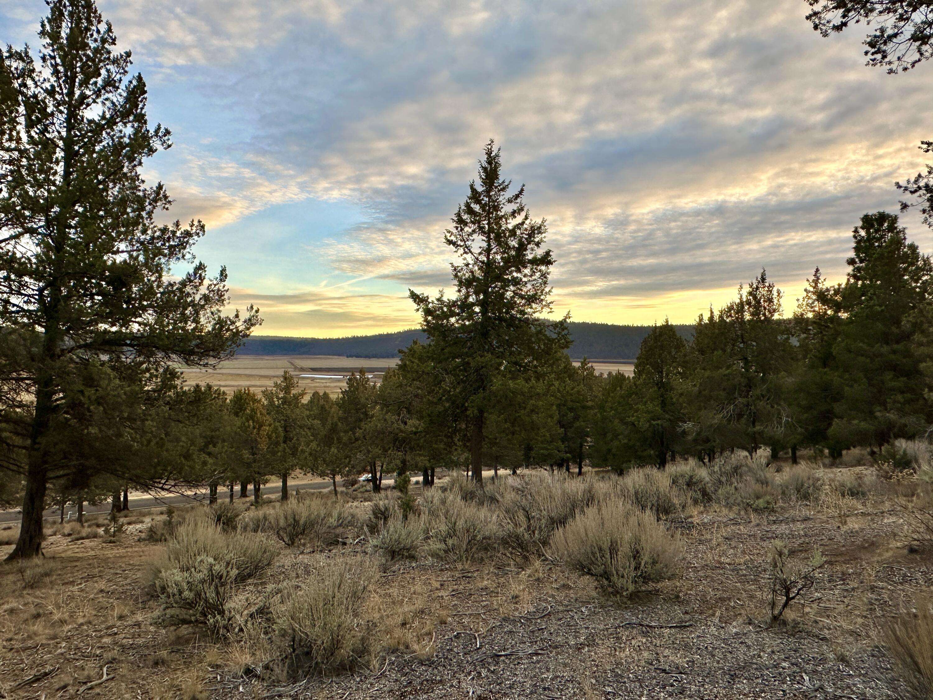 Klamath Falls, OR 97601,Lot 1193 Murrelet RD