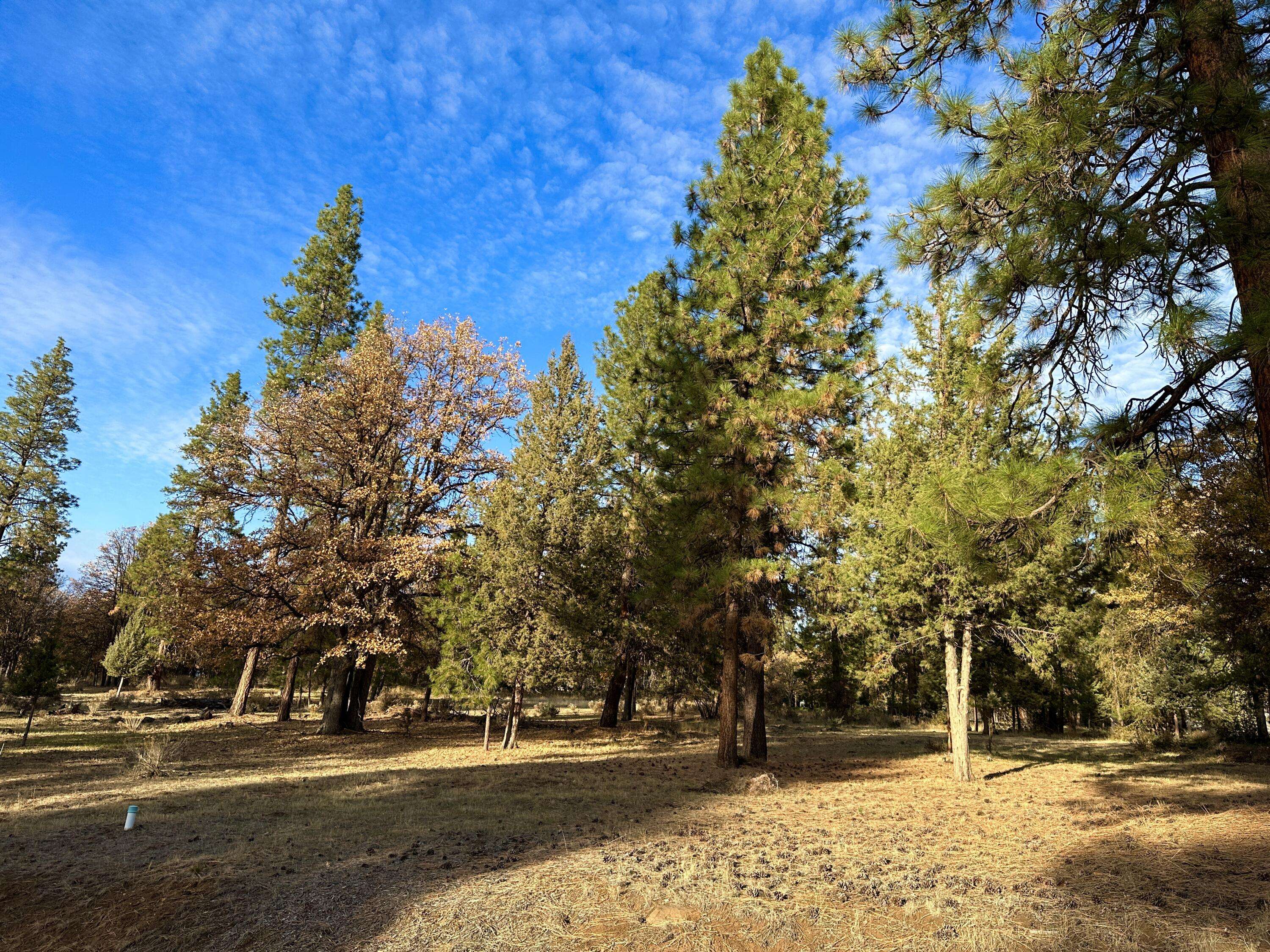 Klamath Falls, OR 97601,Lot 106 Merganser RD