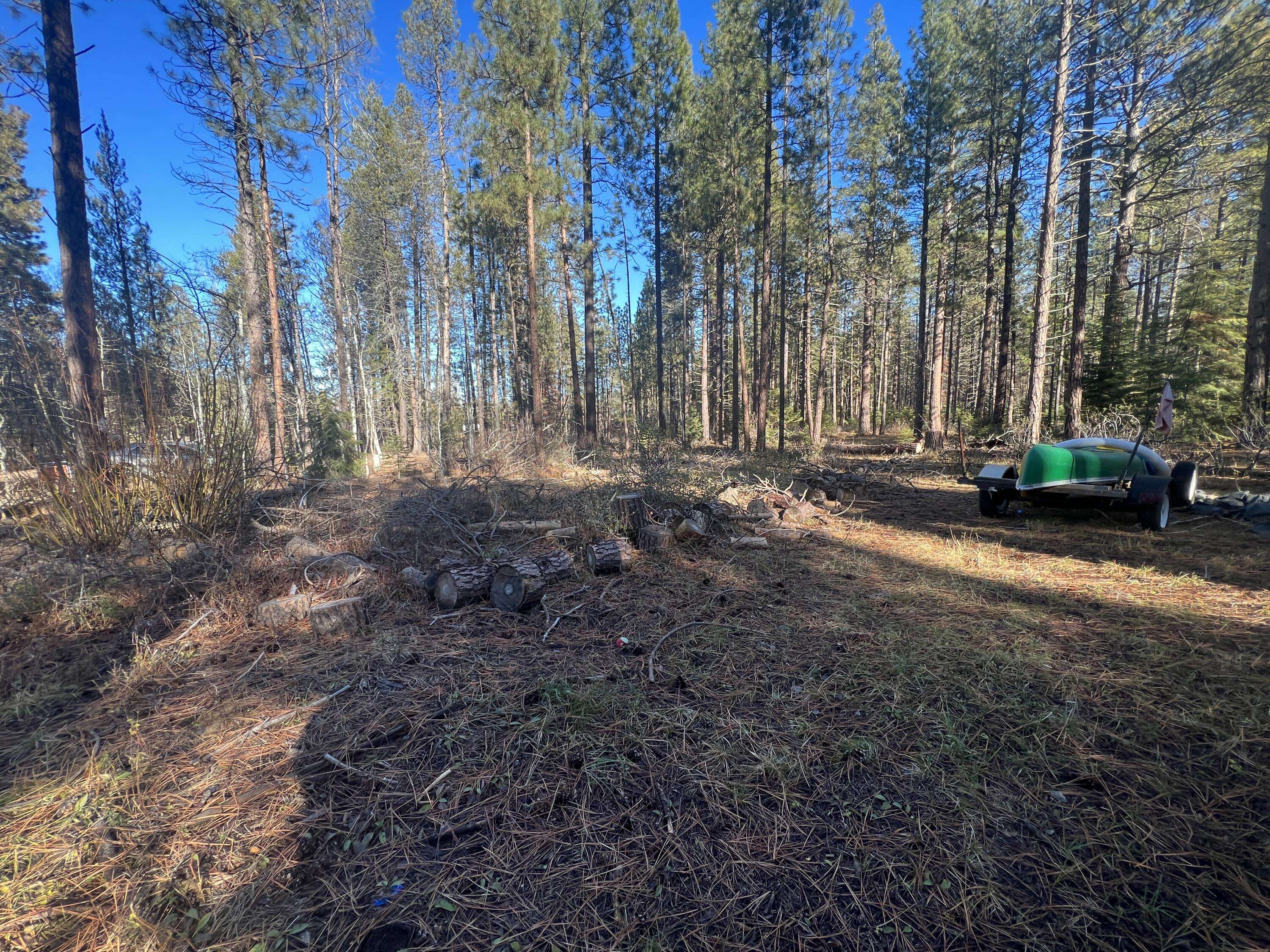 Klamath Falls, OR 97601,Lot 220 N ST