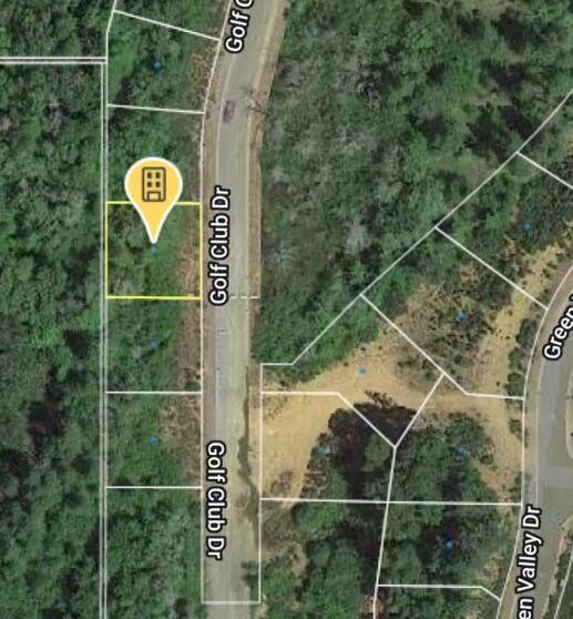 Cave Junction, OR 97523,1310 Golf Club DR