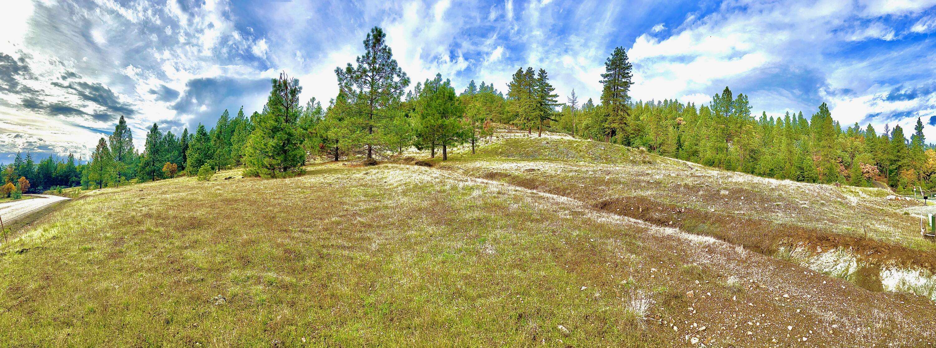 Cave Junction, OR 97523,420 Tycer Crossing