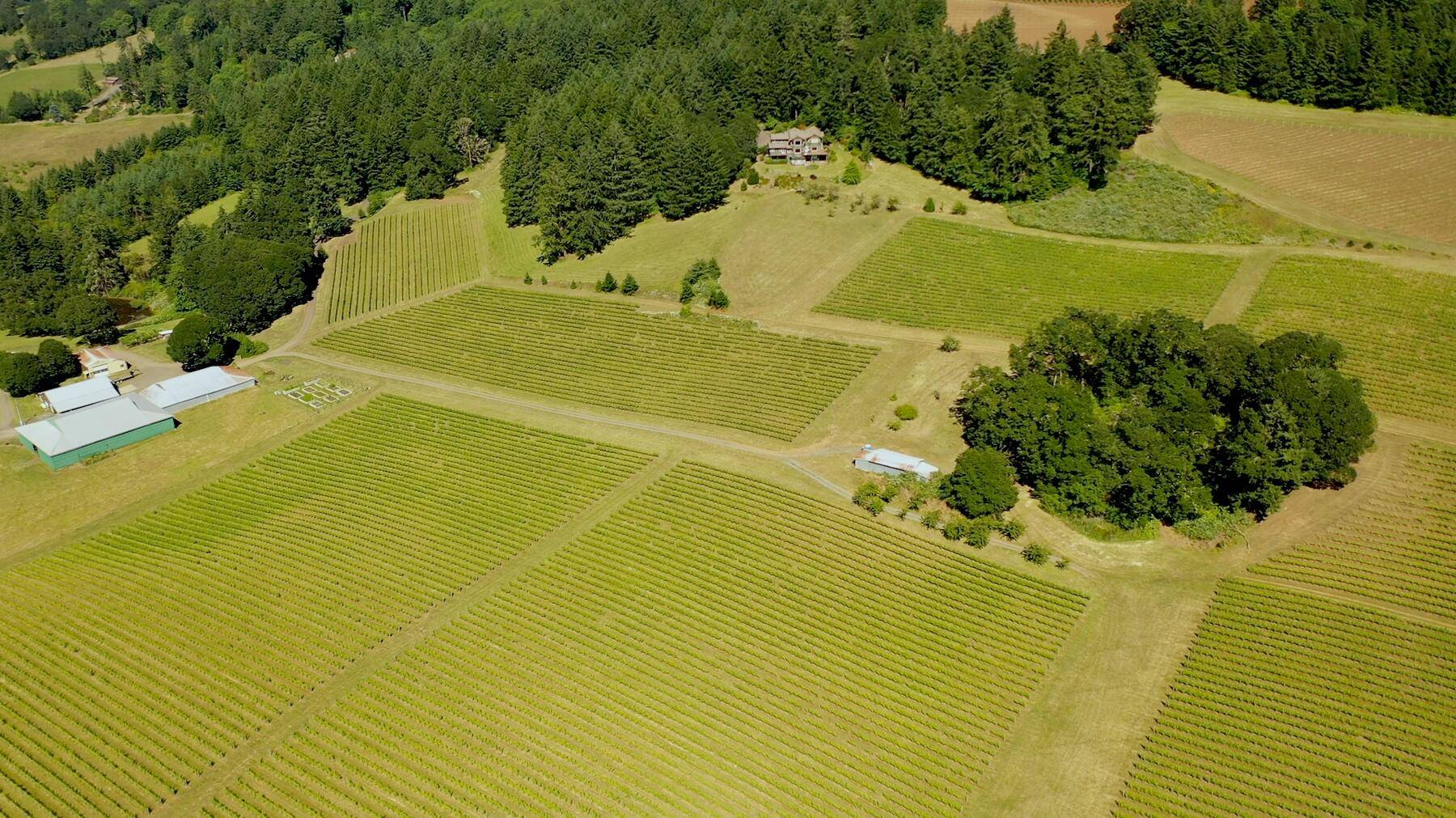 Amity, OR 97101,7820 Amity RD