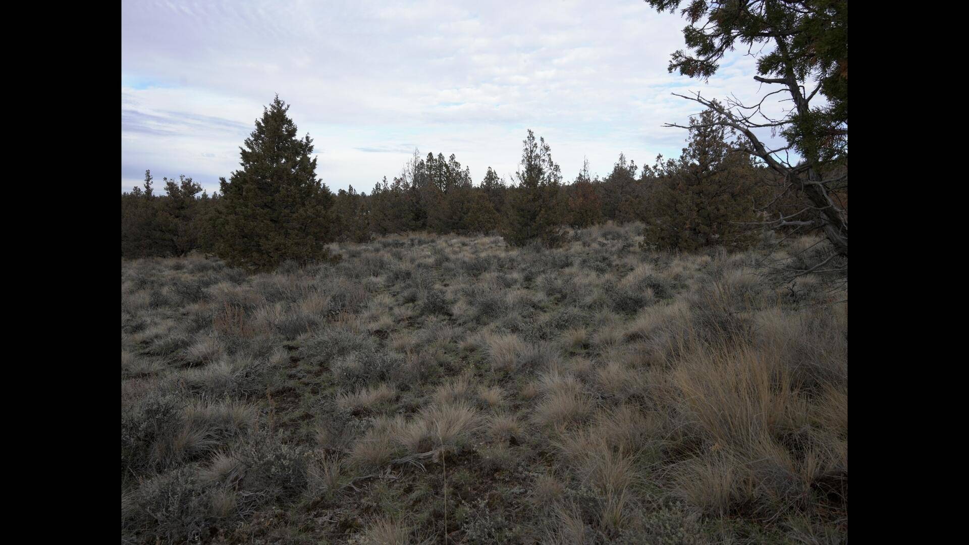 Prineville, OR 97754,TL 600 Cougar CT