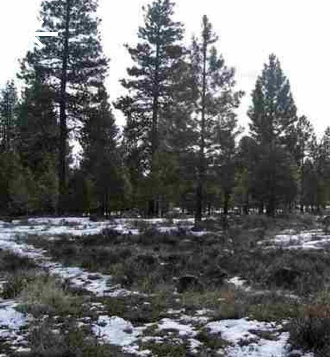 Klamath Falls, OR 97603,Misty Mountain #5-lot