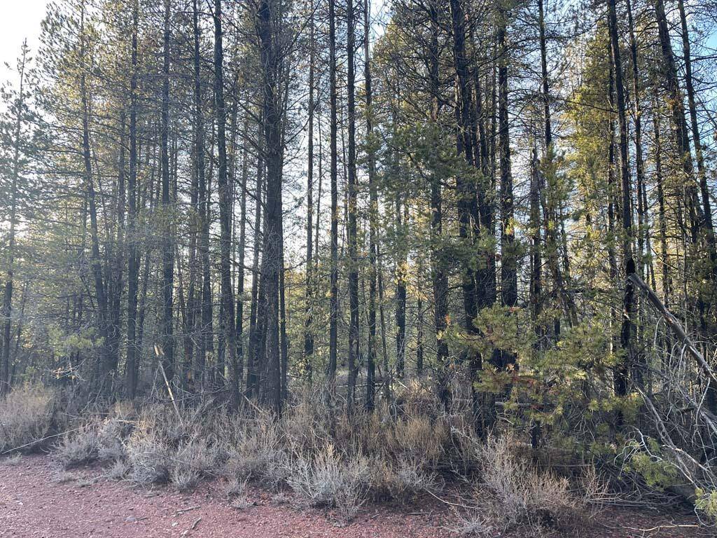 Chiloquin, OR 97624,Deacon DR #16