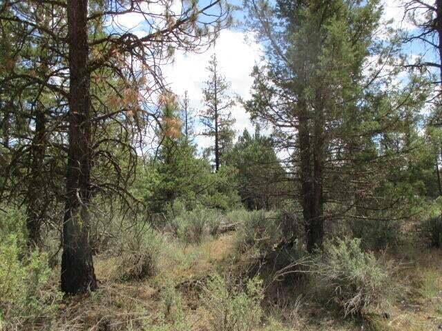 Sprague River, OR 97639,Lot 10 Tepee LN