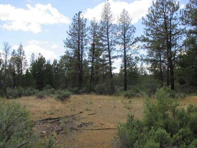 Sprague River, OR 97639,Lot 10 Tepee LN